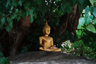 Golden buddha statue sits peacefully under a tree.