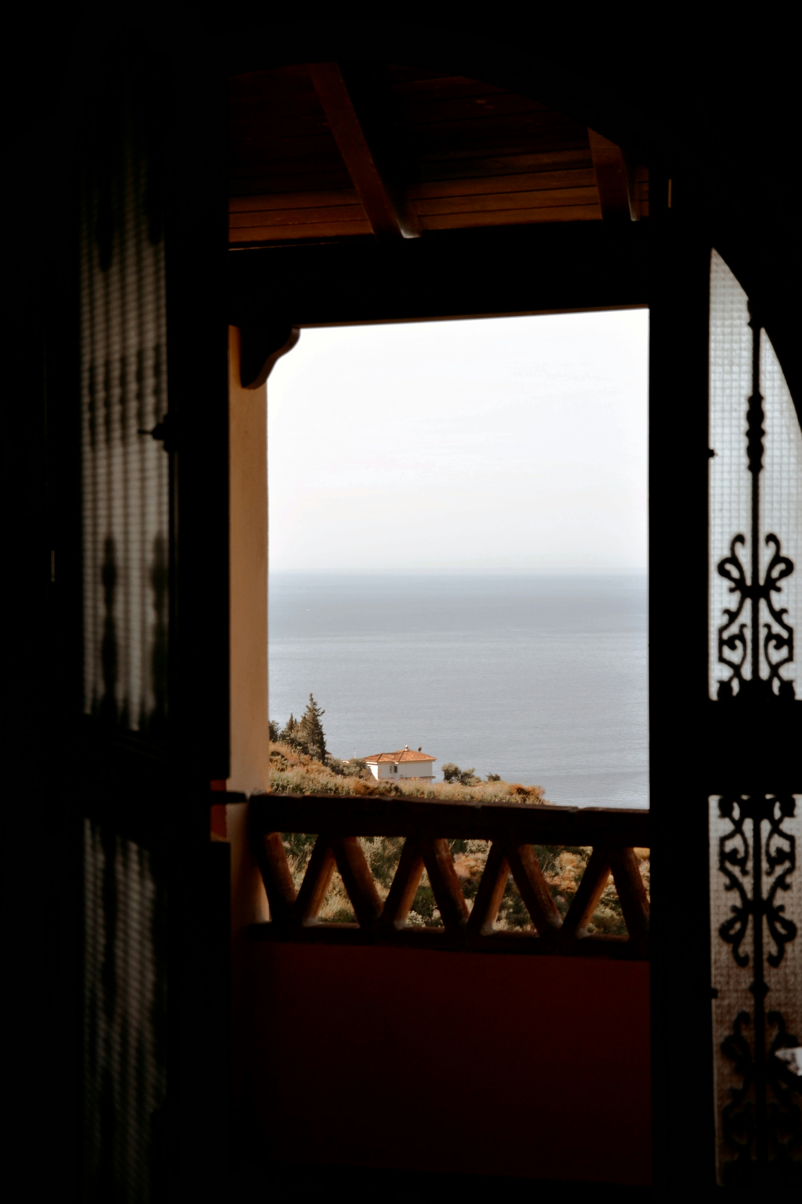 Photo by anivardiero