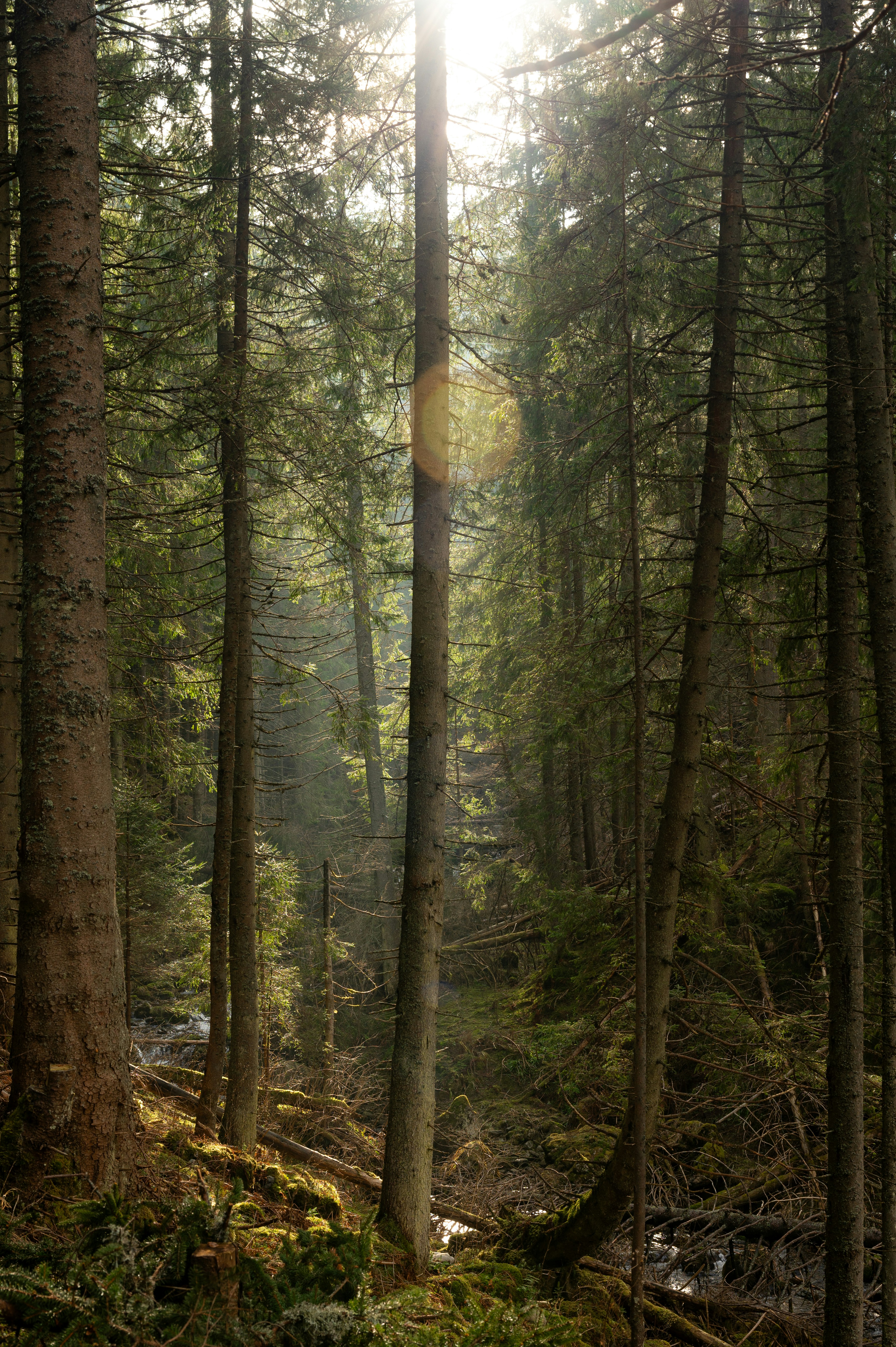 Photo by alexandra_p_d