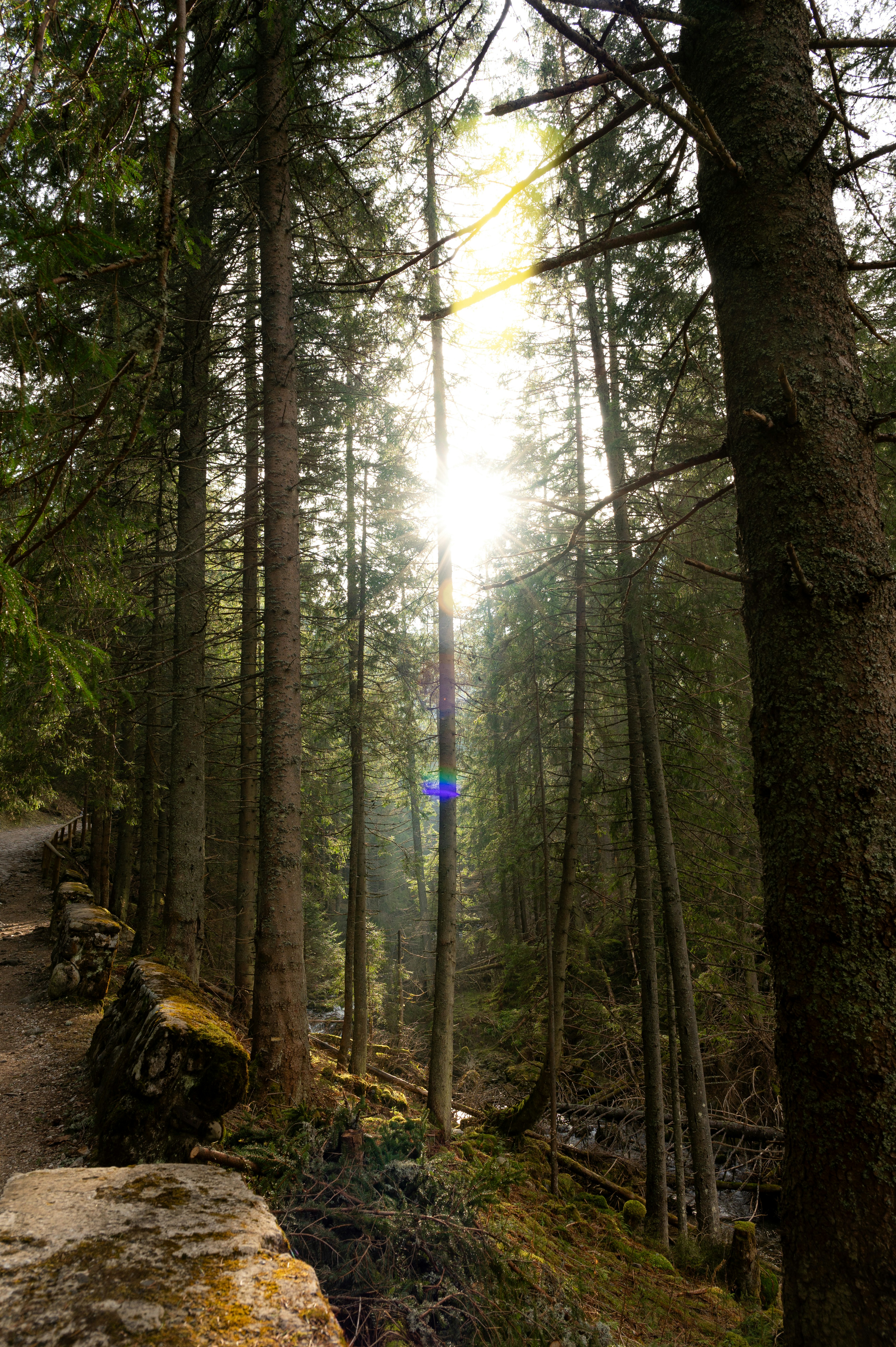 Photo by alexandra_p_d