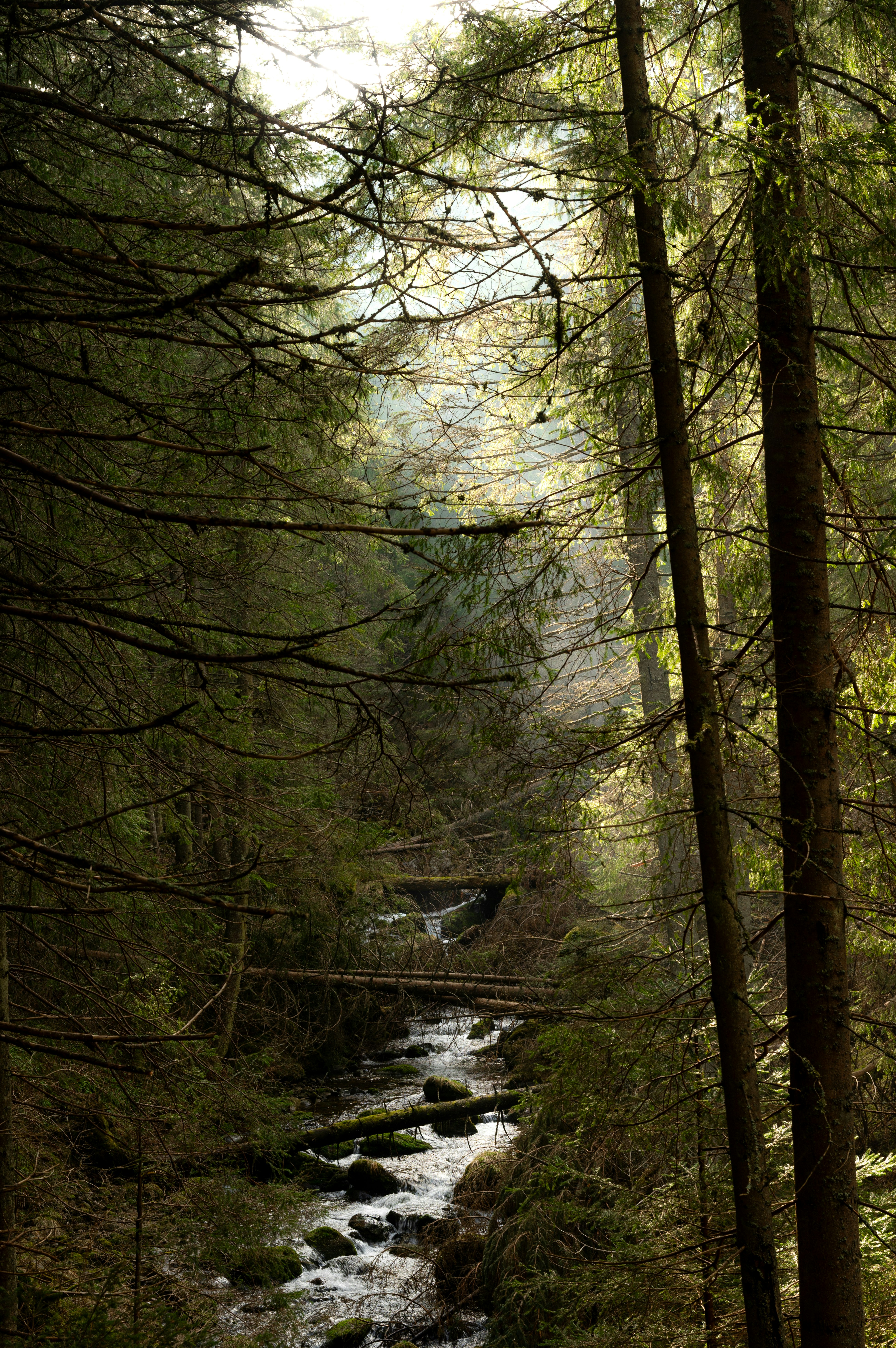 Photo by alexandra_p_d