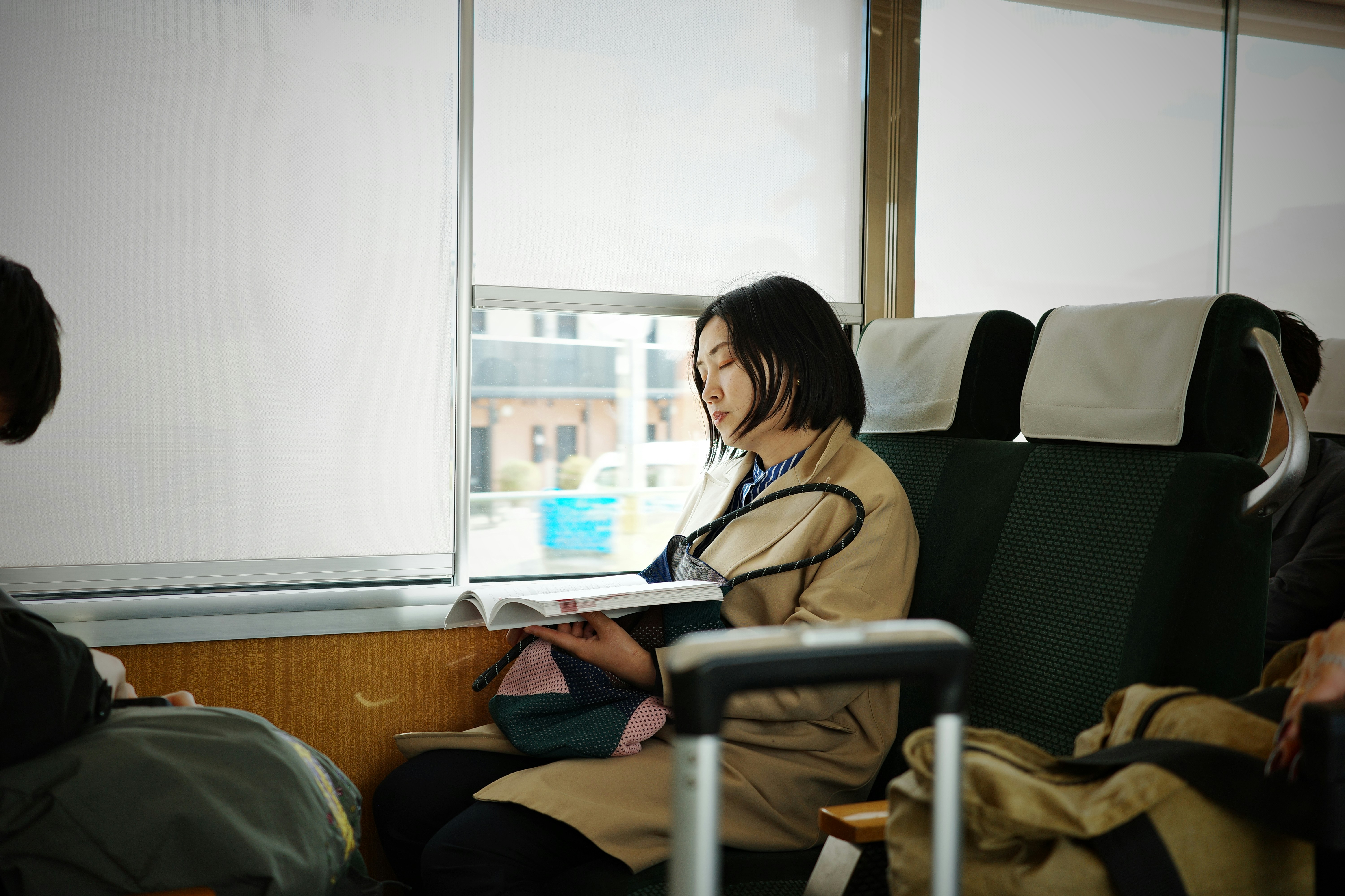 Woman reads a book while riding the train.