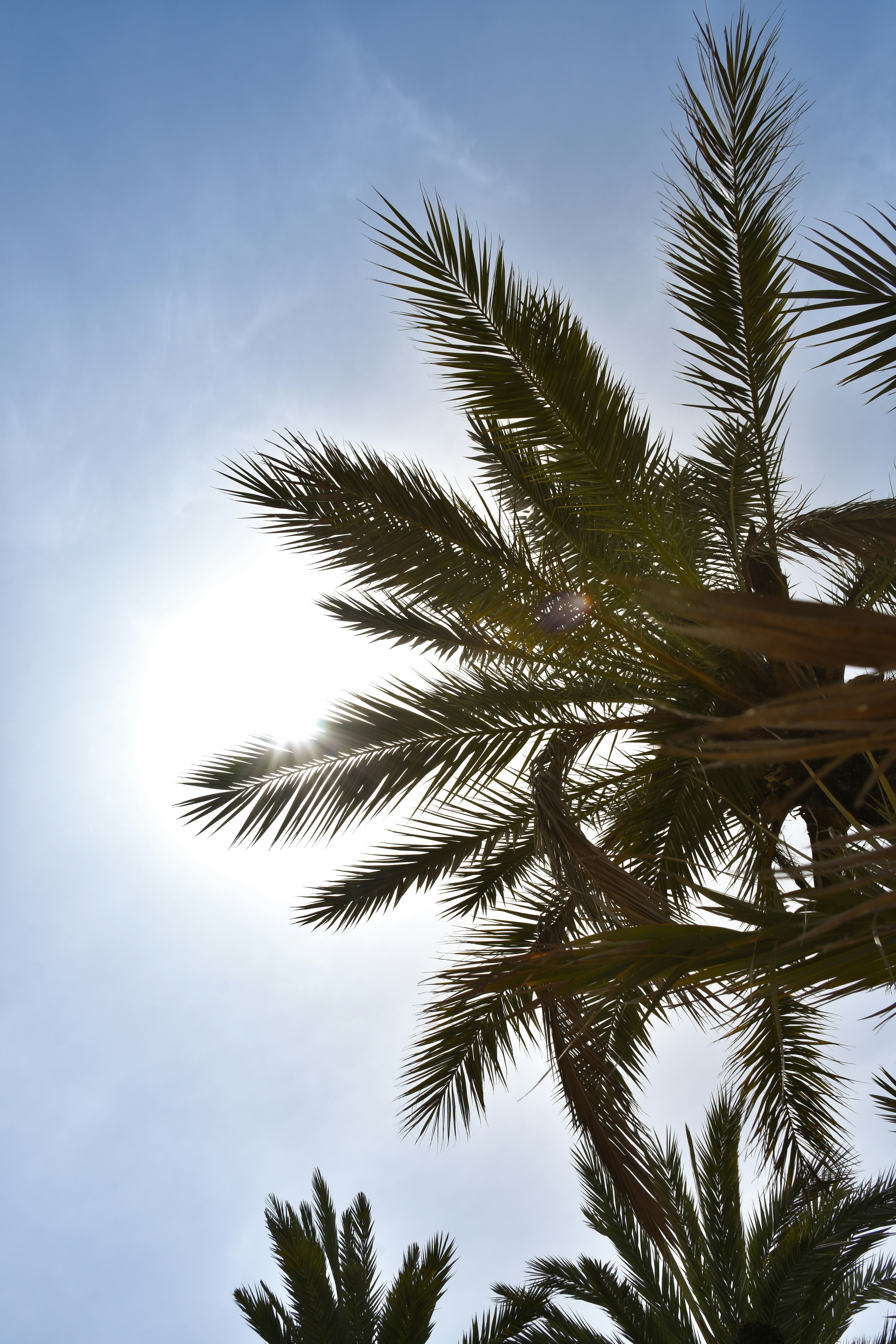 Photo by niklasjonasson