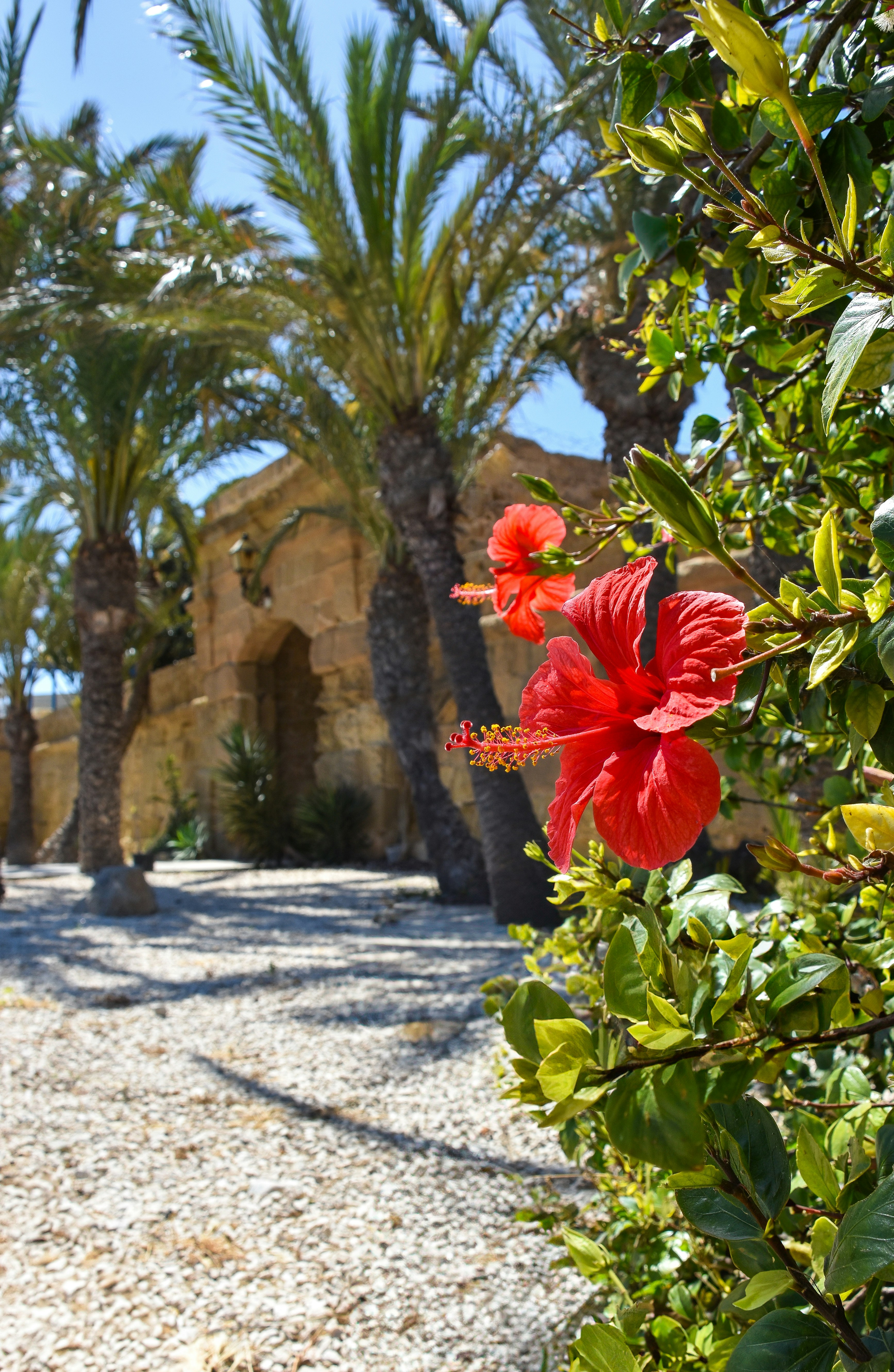 Photo by niklasjonasson