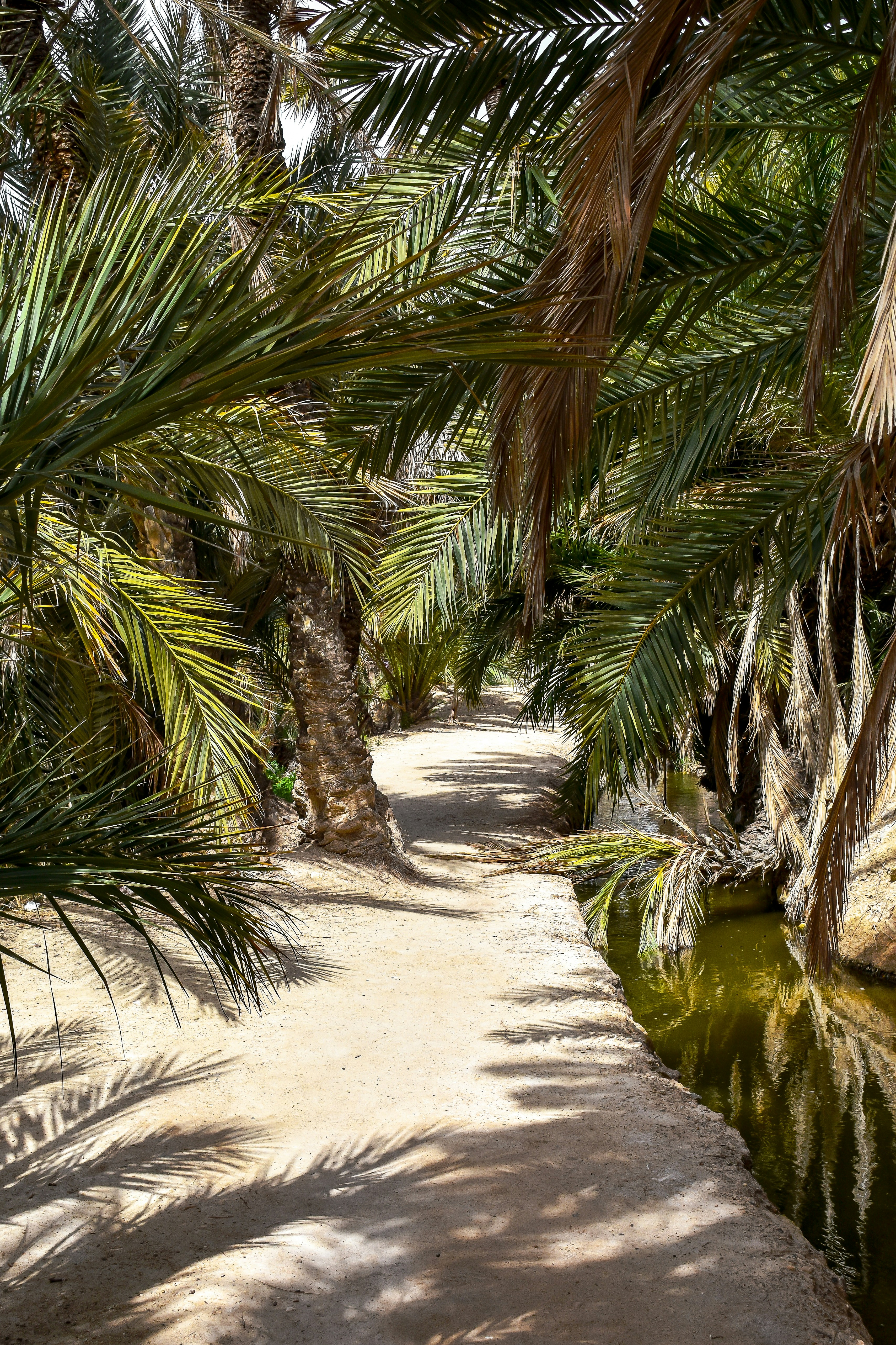 Photo by niklasjonasson