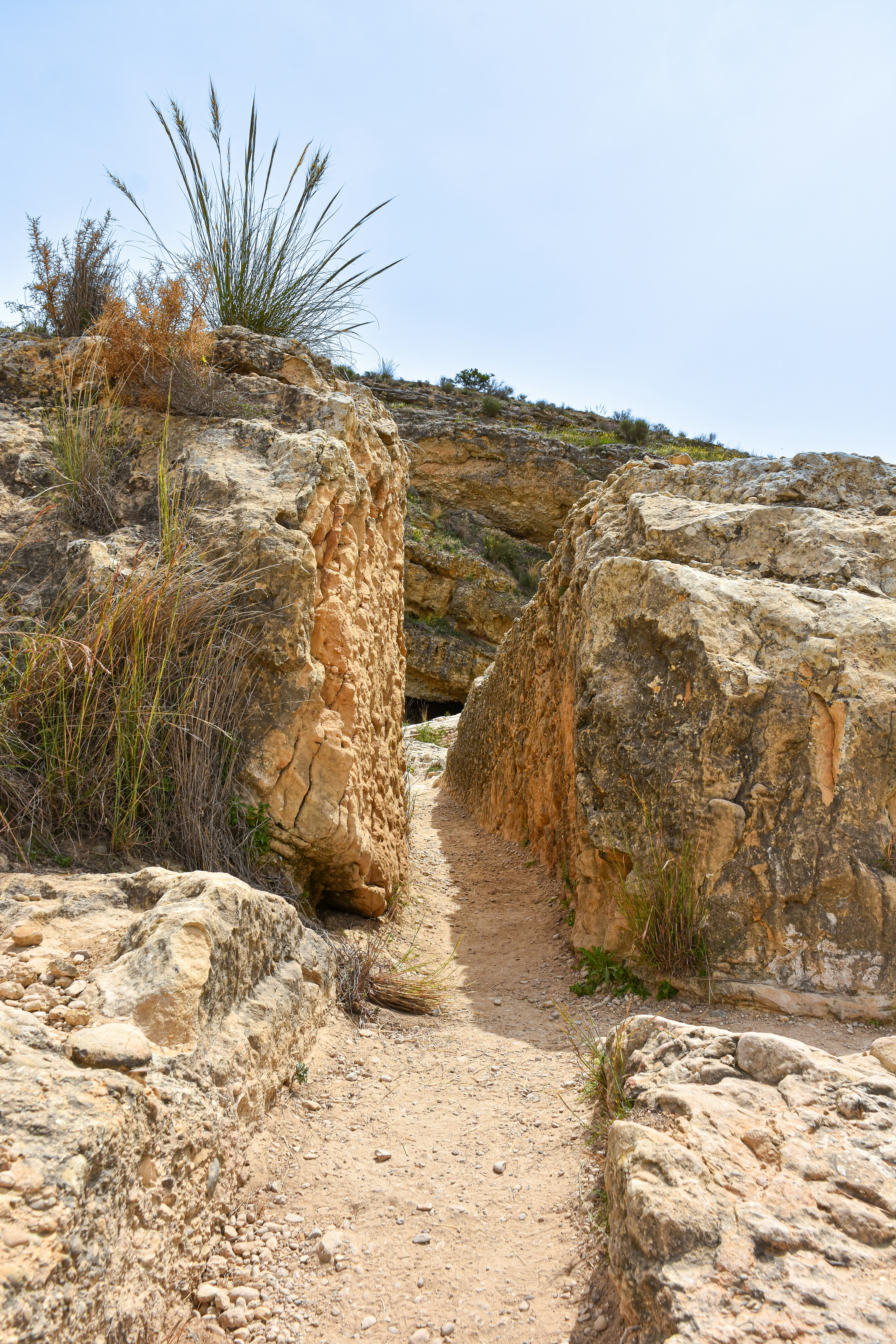 Photo by niklasjonasson