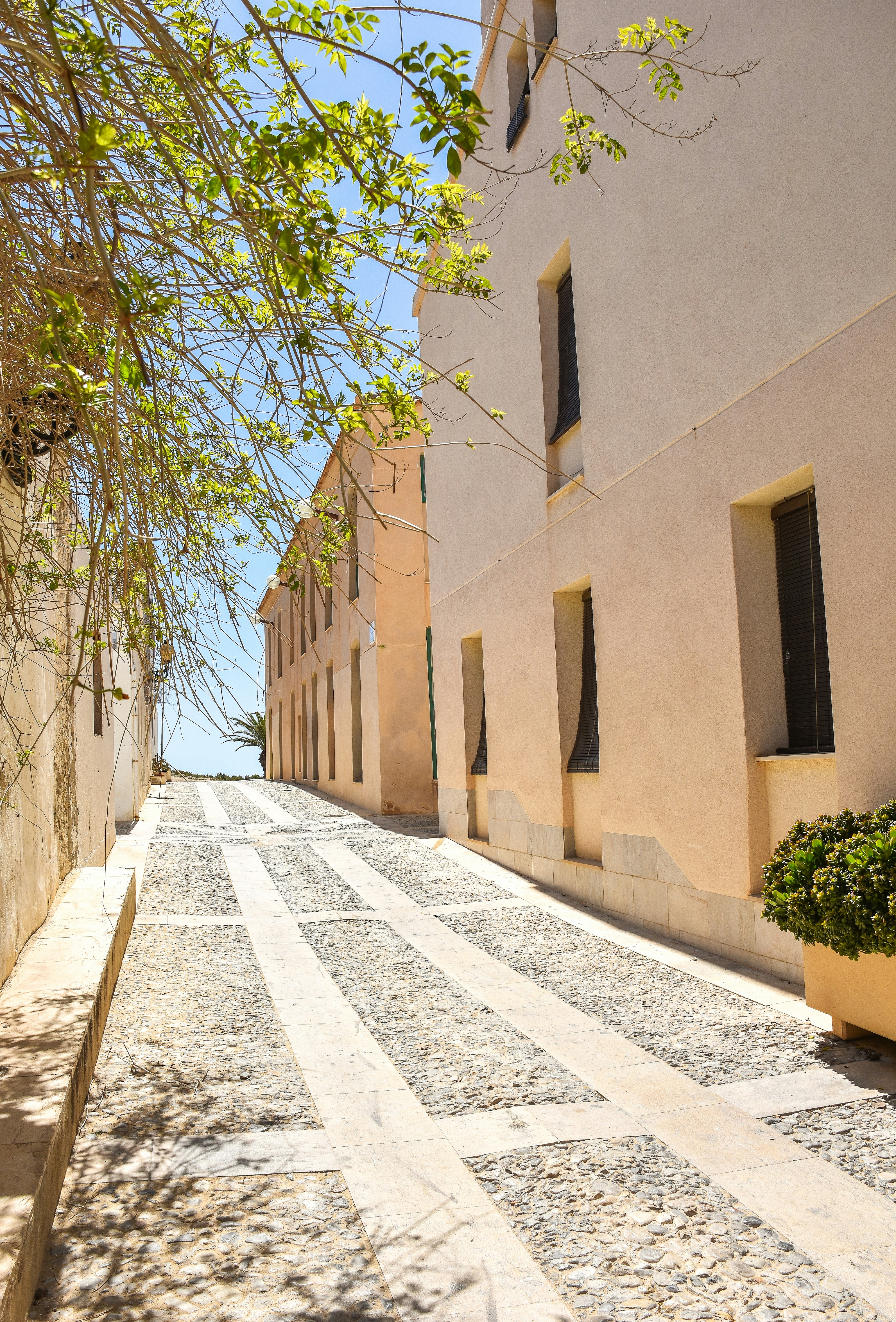 Photo by niklasjonasson