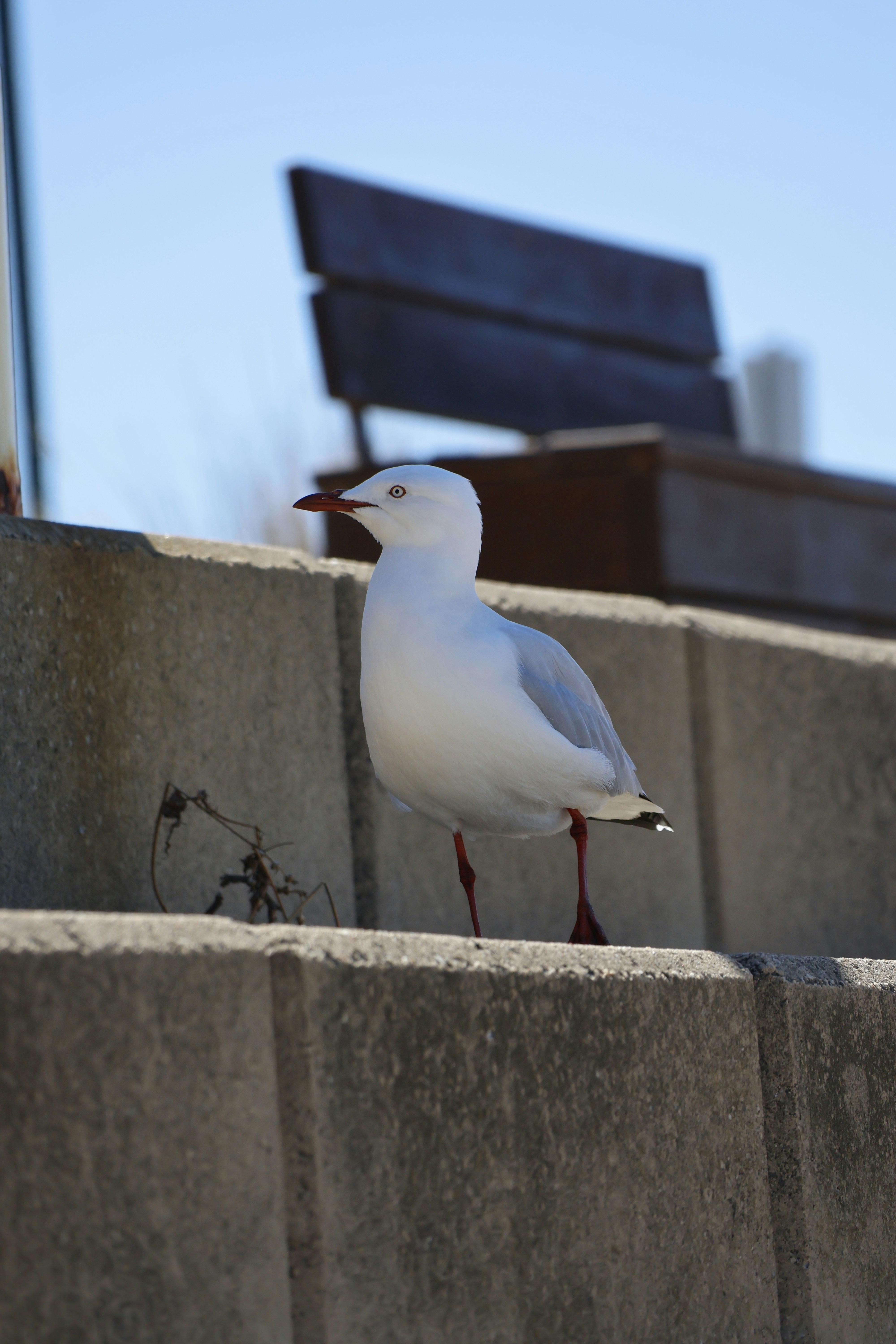 Photo by le_y0u