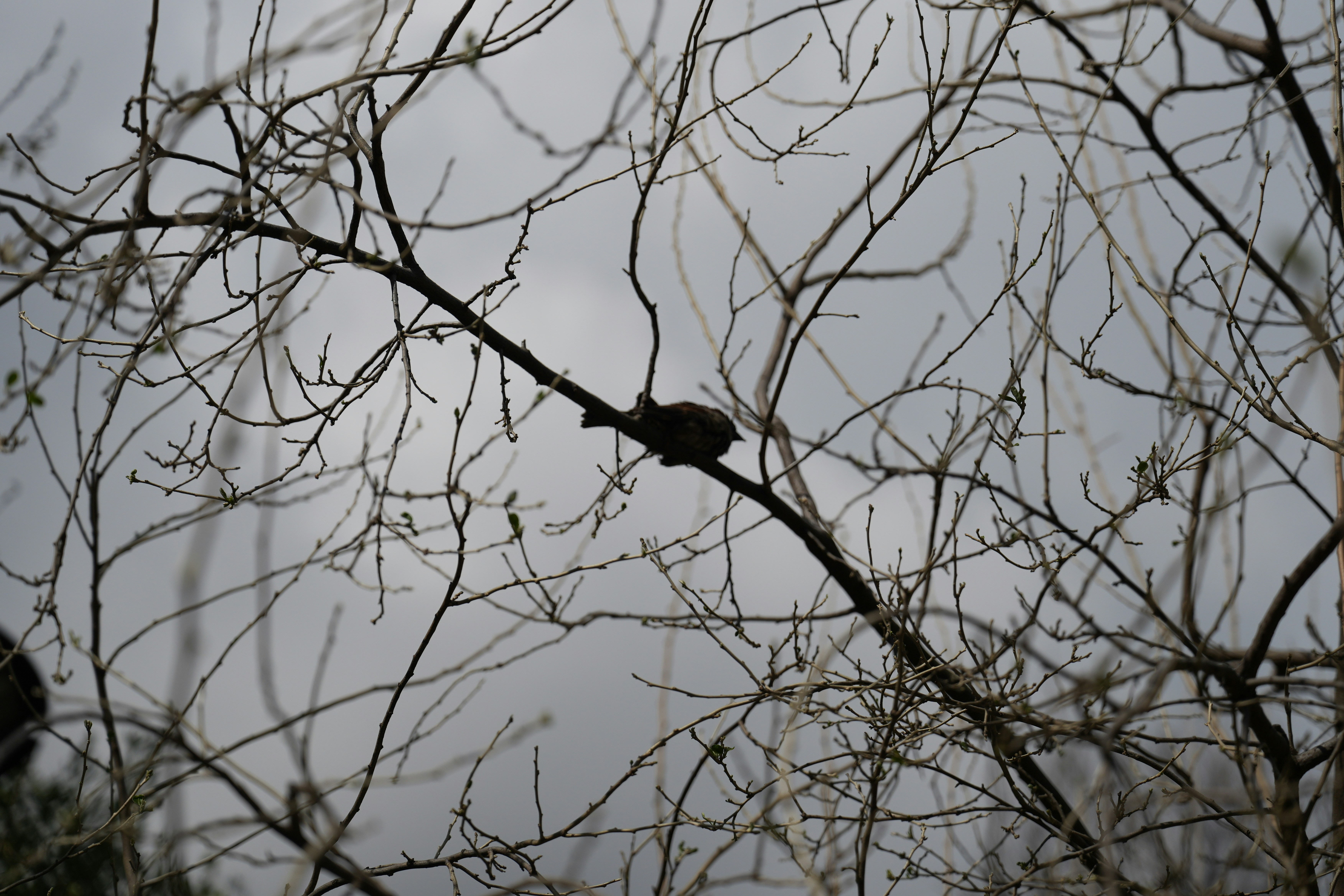 Photo by solomon_6969