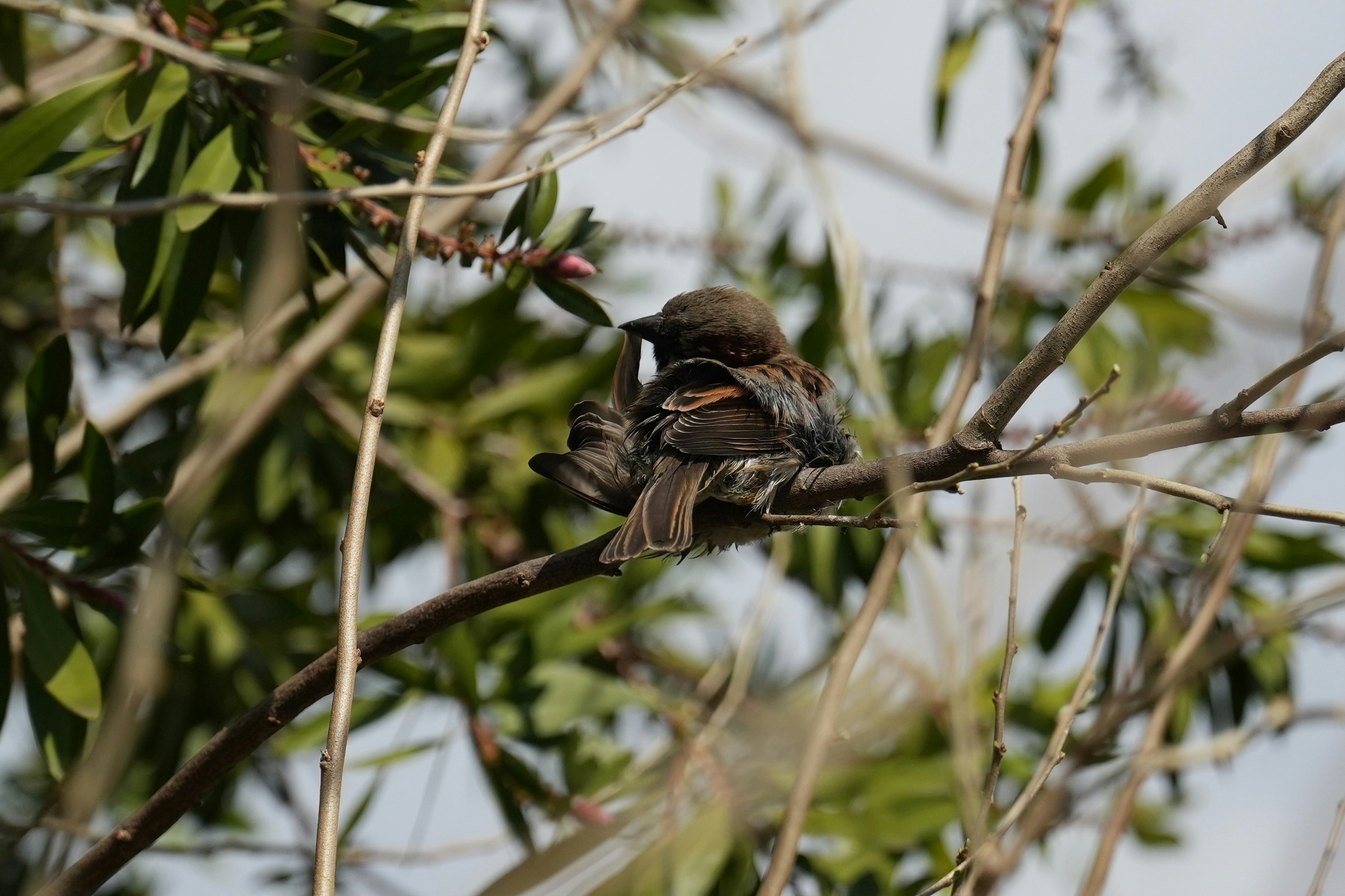 Photo by solomon_6969