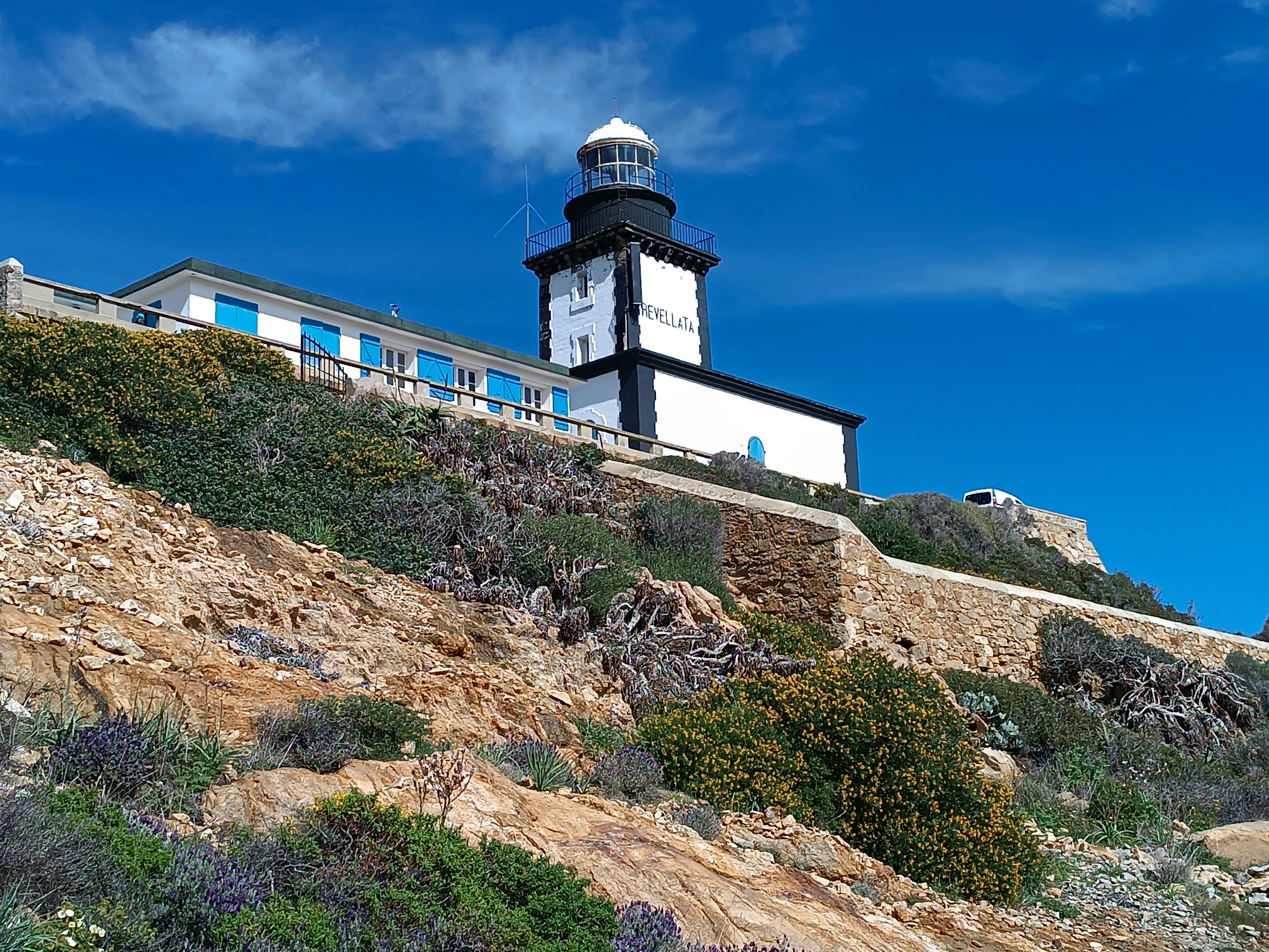 Photo by oxganggreen