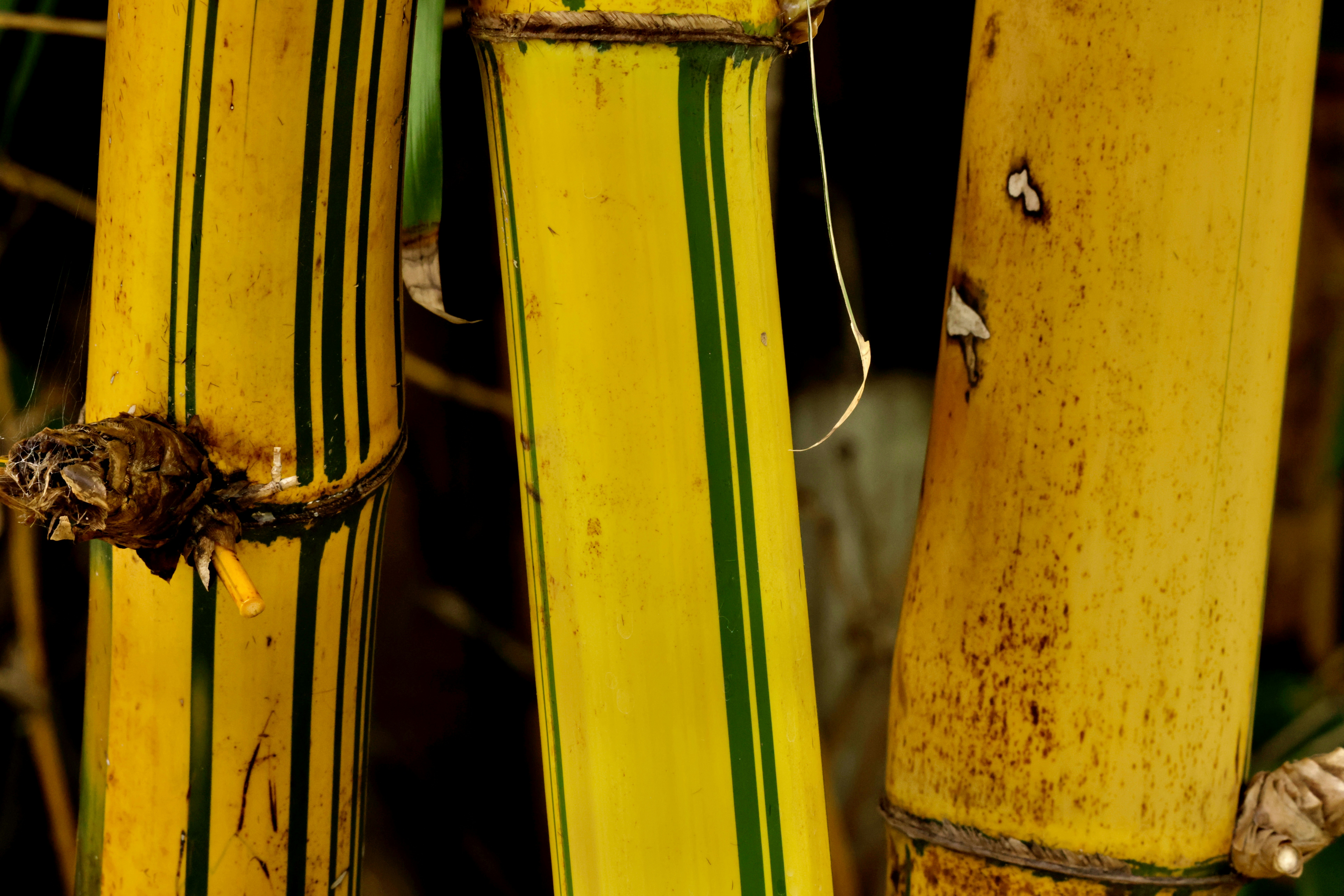 3m extreme hold duct tape