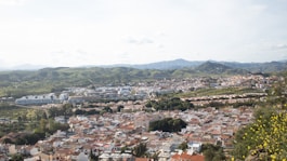 A bird's-eye view of a city and hills.