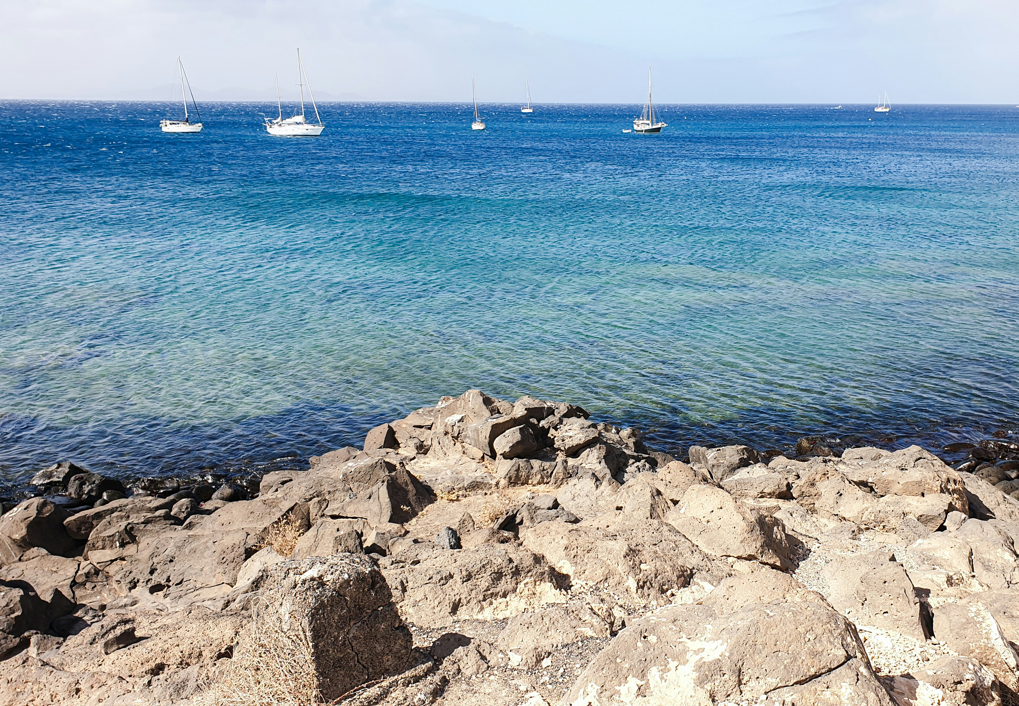 Photo by ali_rogue_images