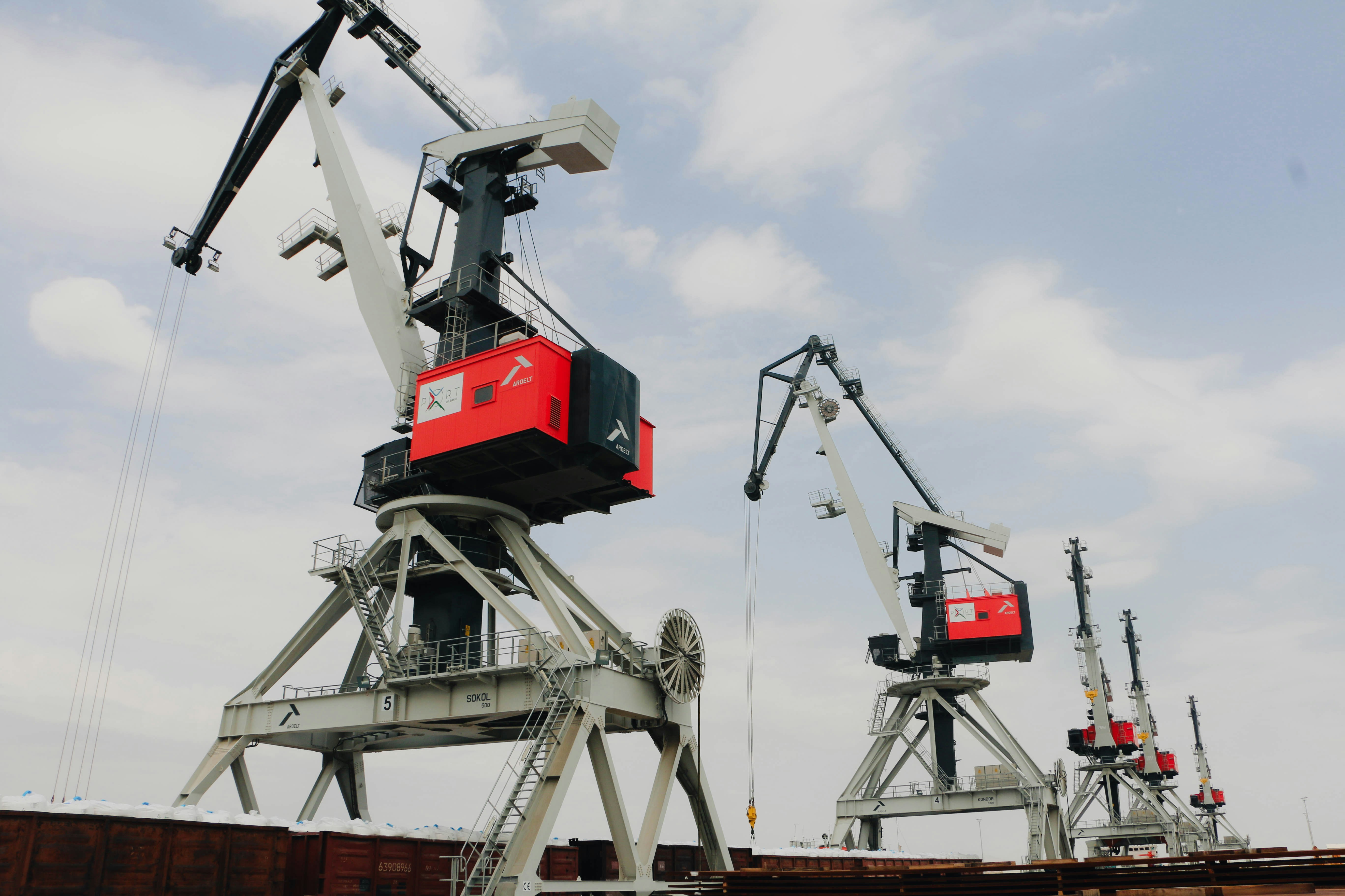 Cranes stand tall at a harbor.