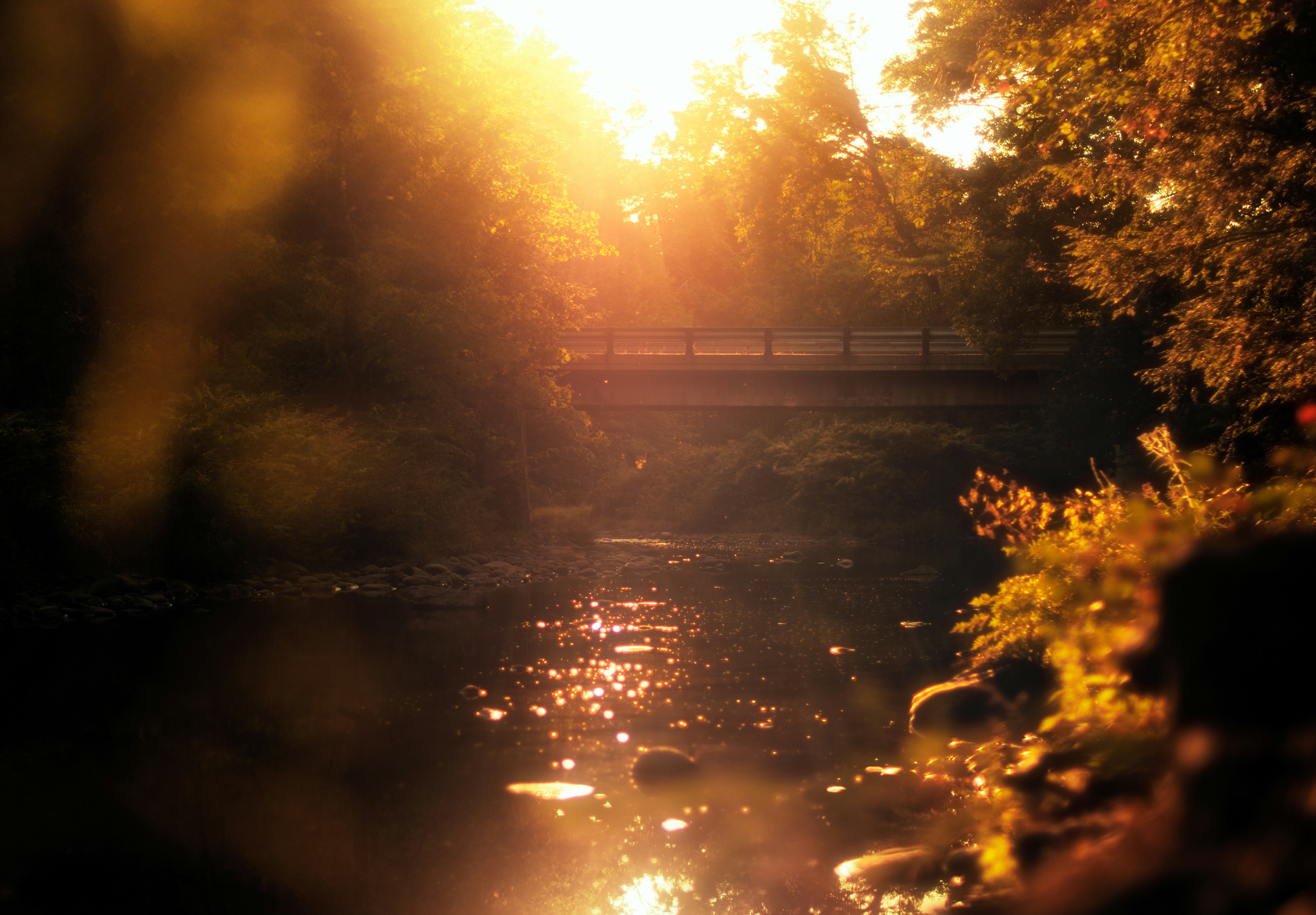 Sunlight glistens on water in a golden landscape.