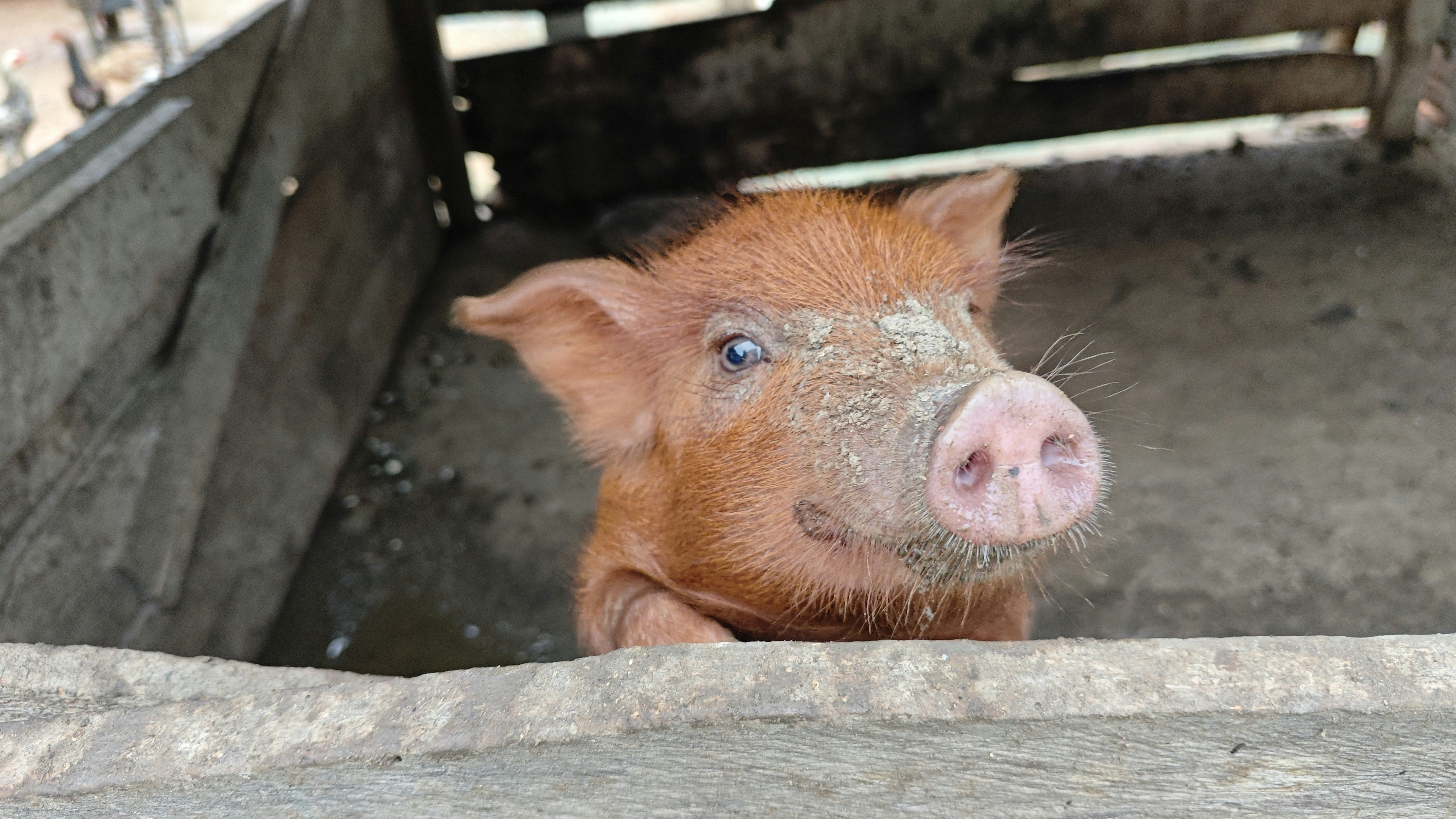 Photo by dienyportinanni