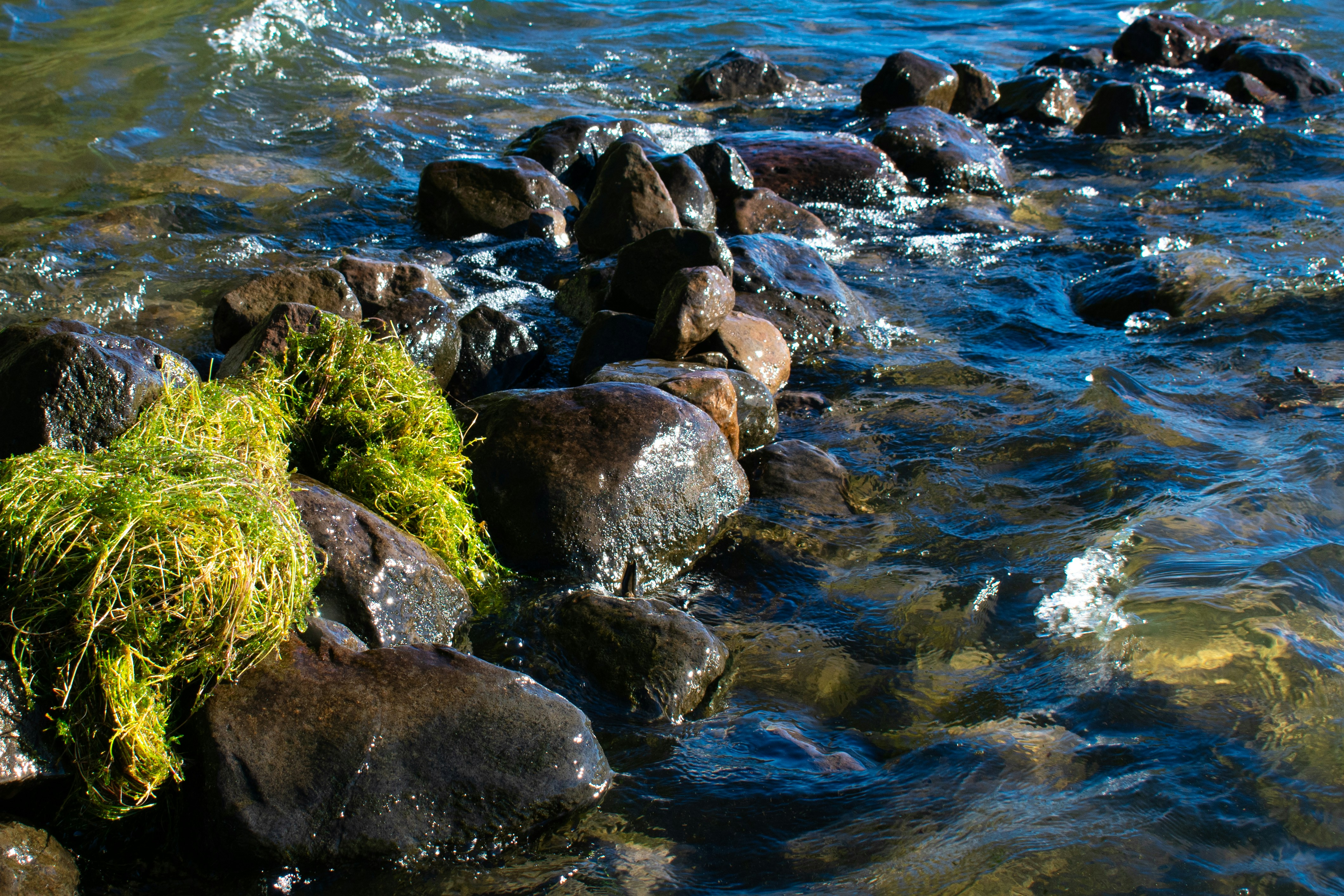 Rocce e alghe si trovano nell'acqua fresca e blu.