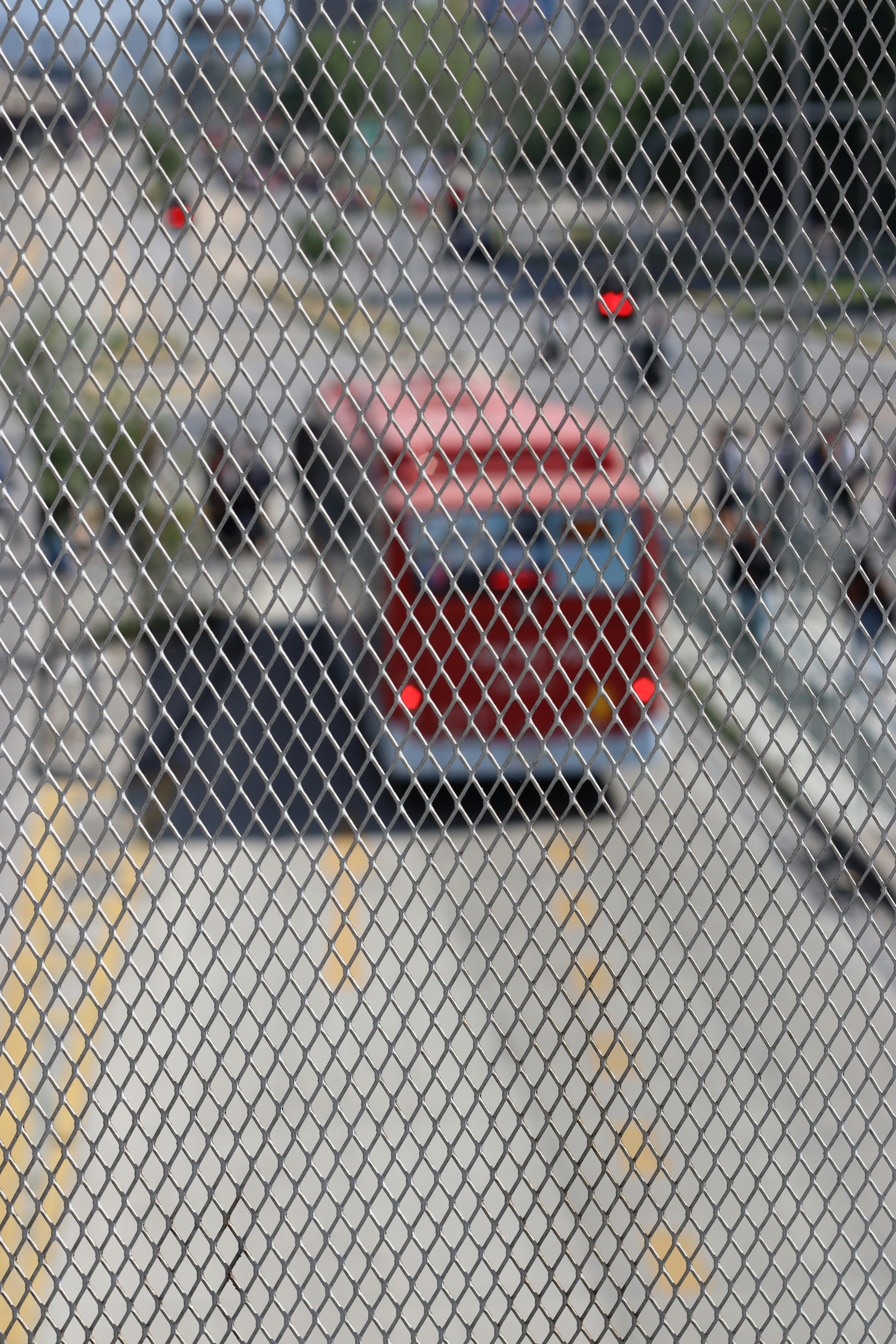 Photo by rodrigotypo