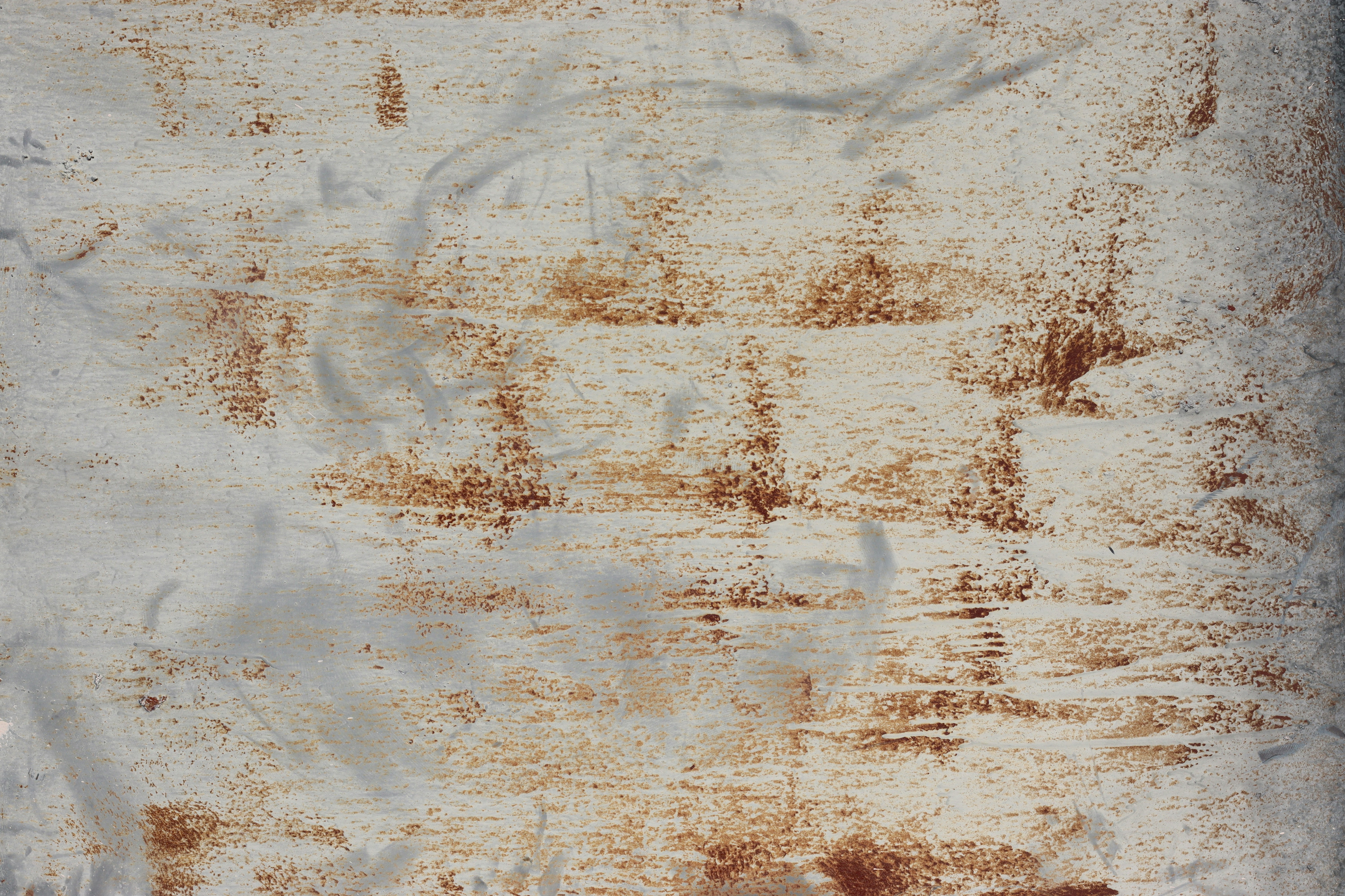 Photo by rodrigotypo