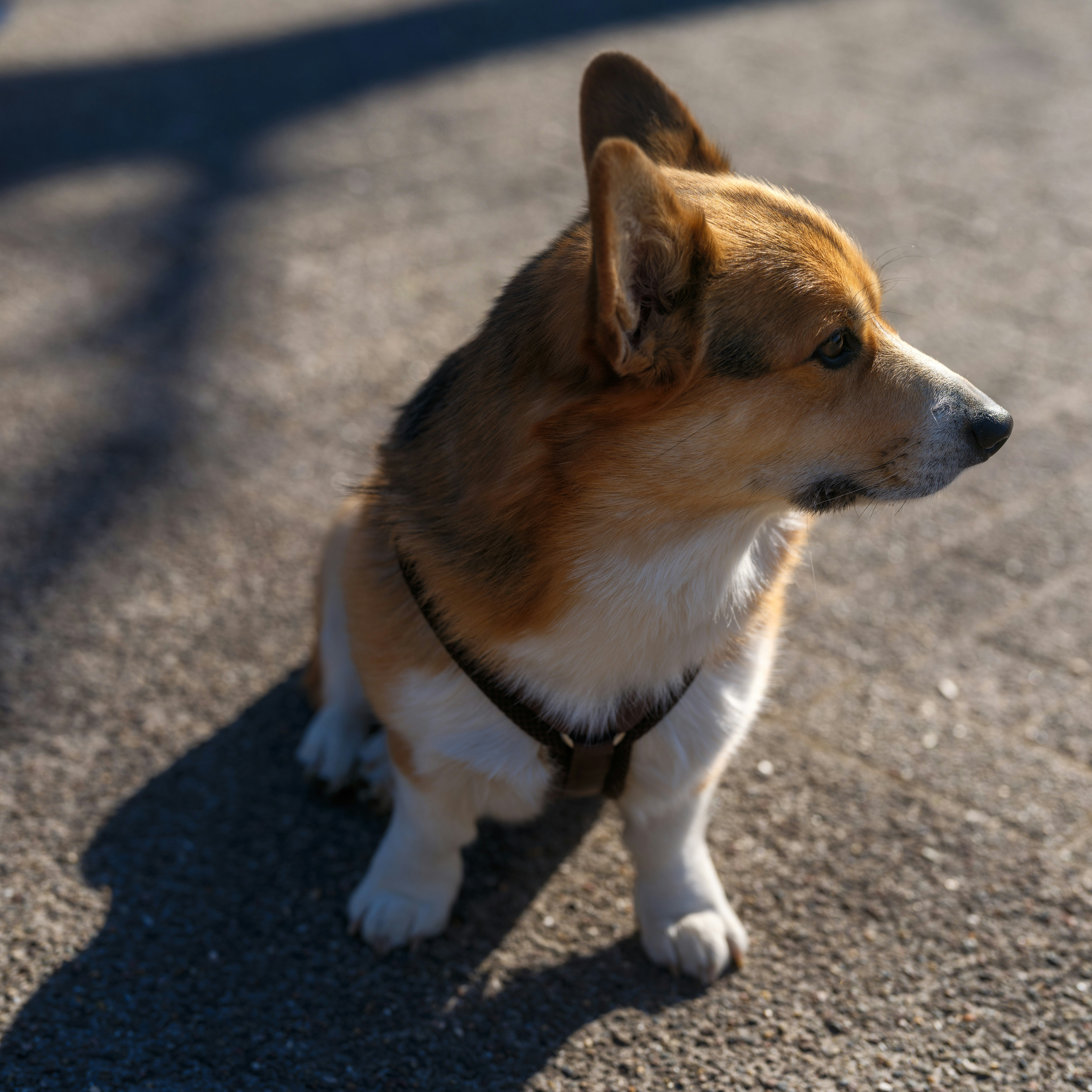 Photo by haberdoedas