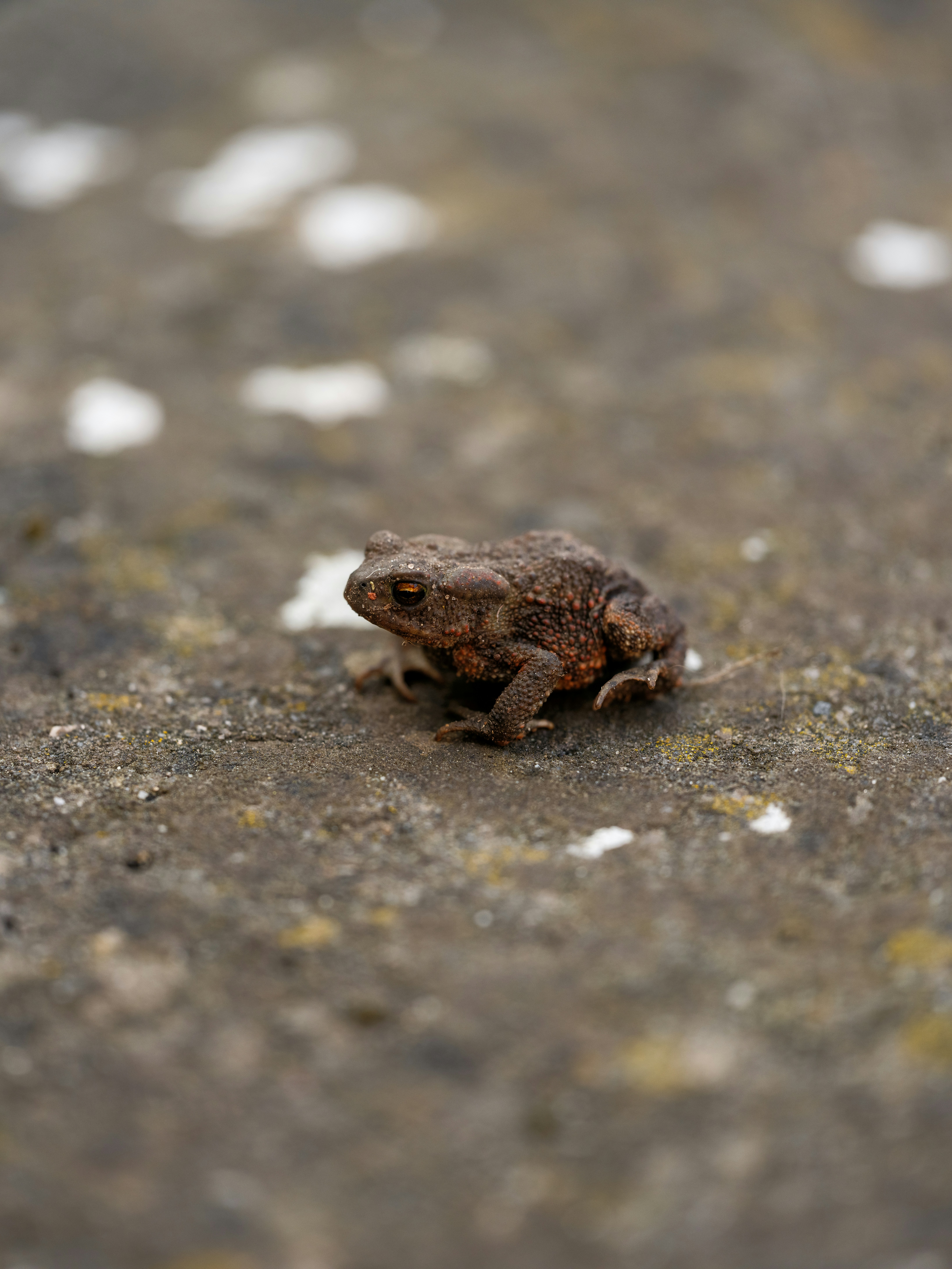 Photo by haberdoedas