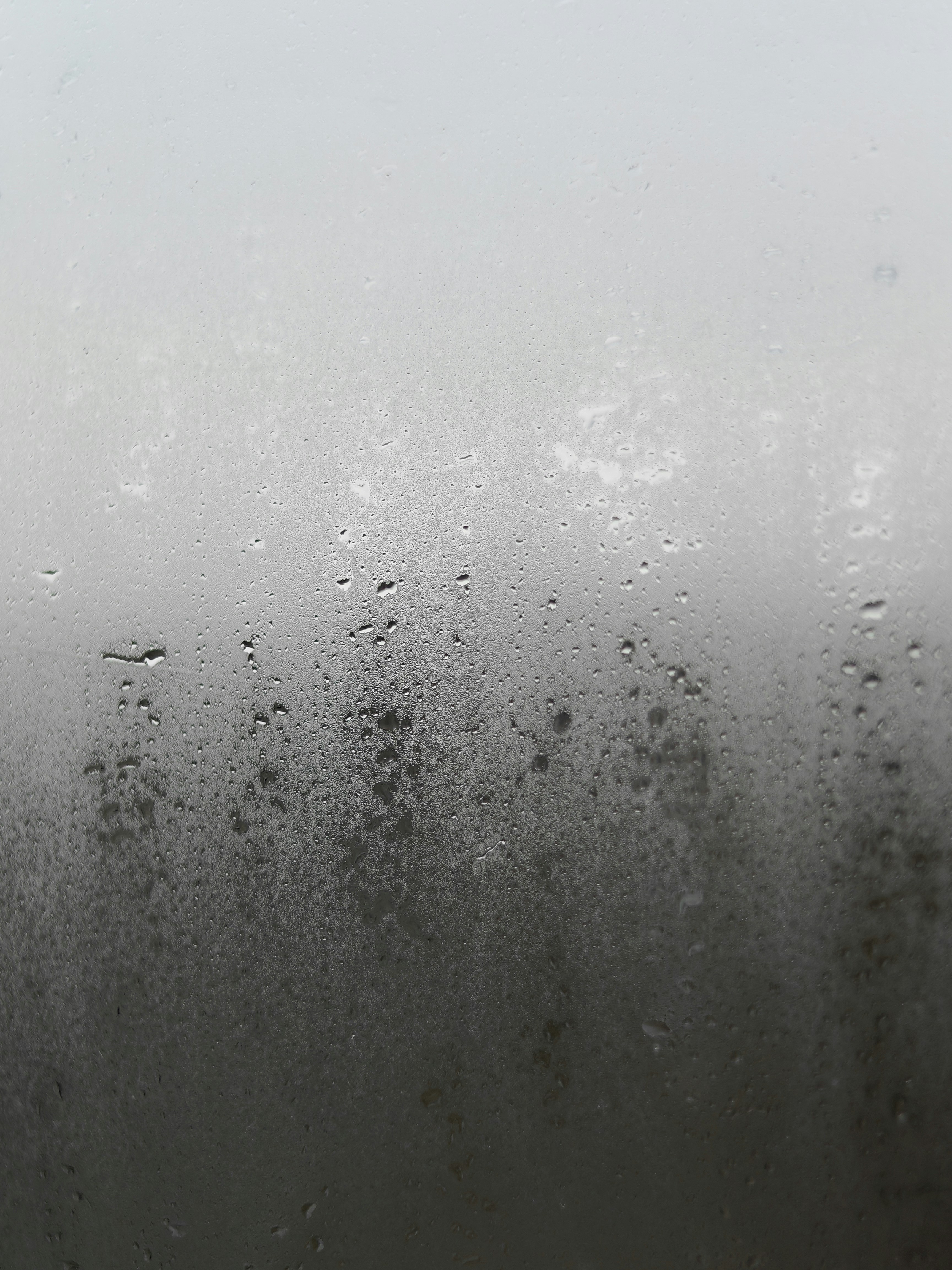 Photo by original_1st