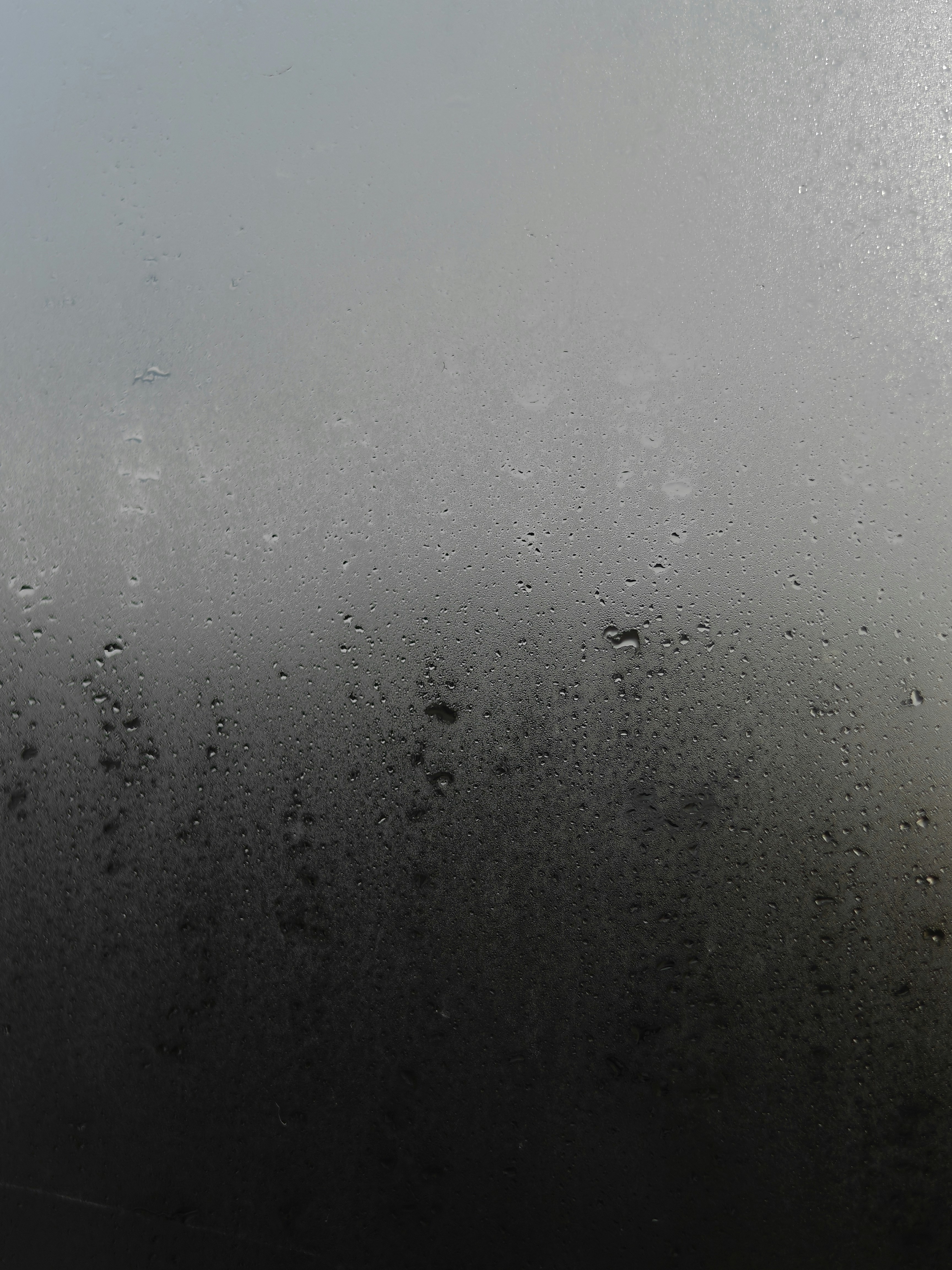 Photo by original_1st