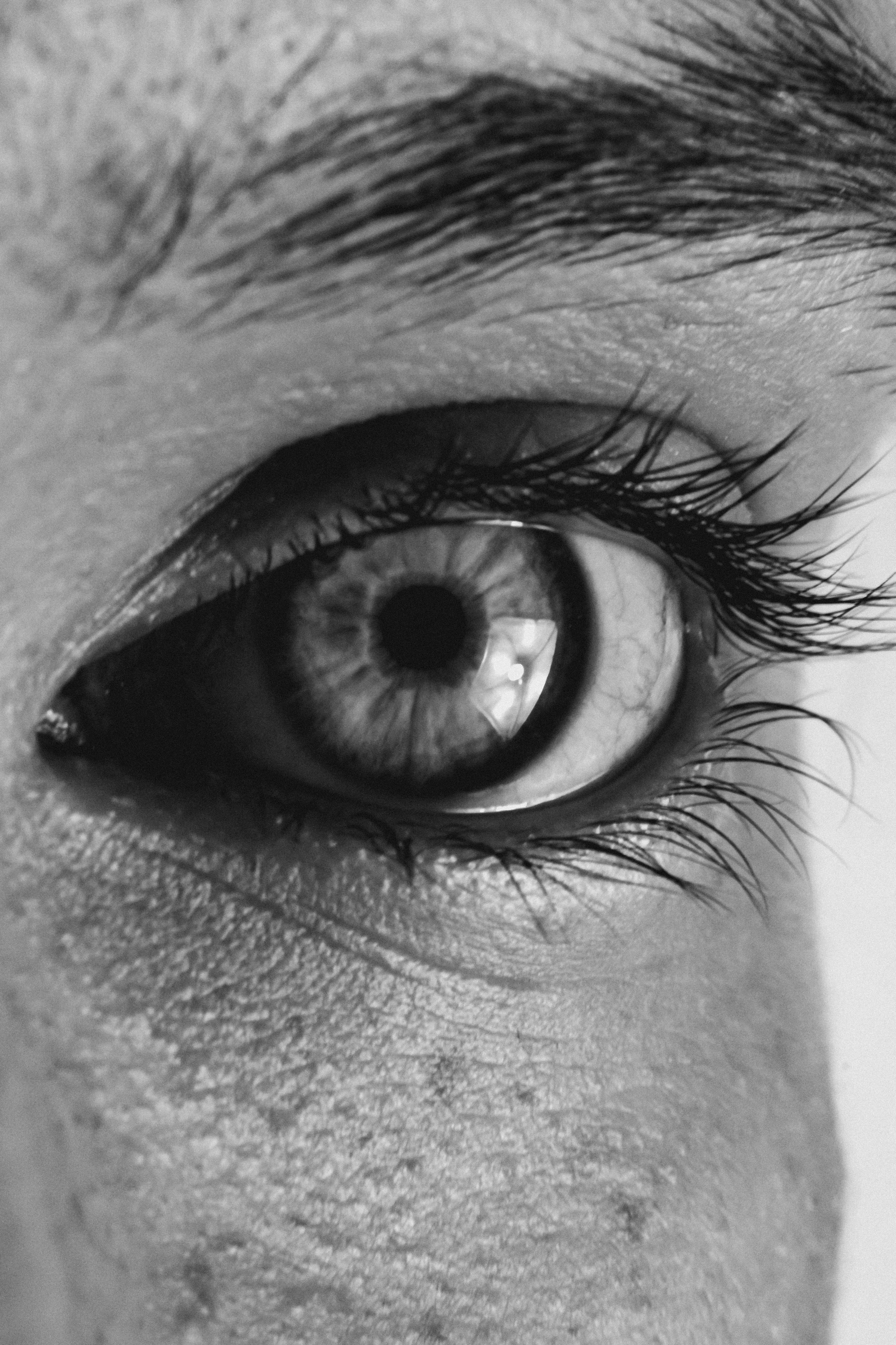 Photo by linusbelanger