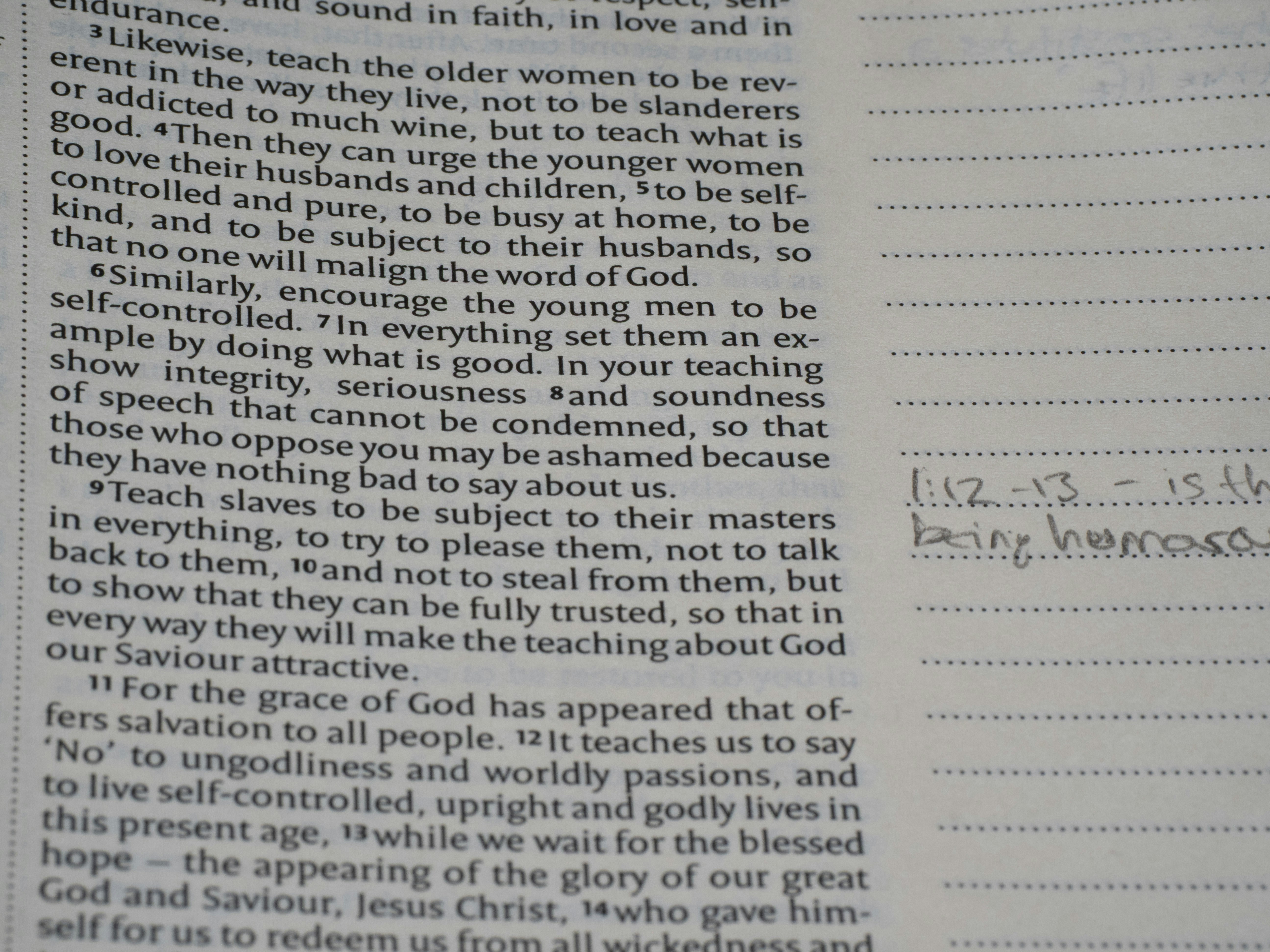 close up, bokeh, bible, new testament, christian, history, text, reading, bible study, devotions, christianity, scripture, epistle, letter, paul, titus, church organisation, godliness, sound doctrine, elders, false teachers, good works,