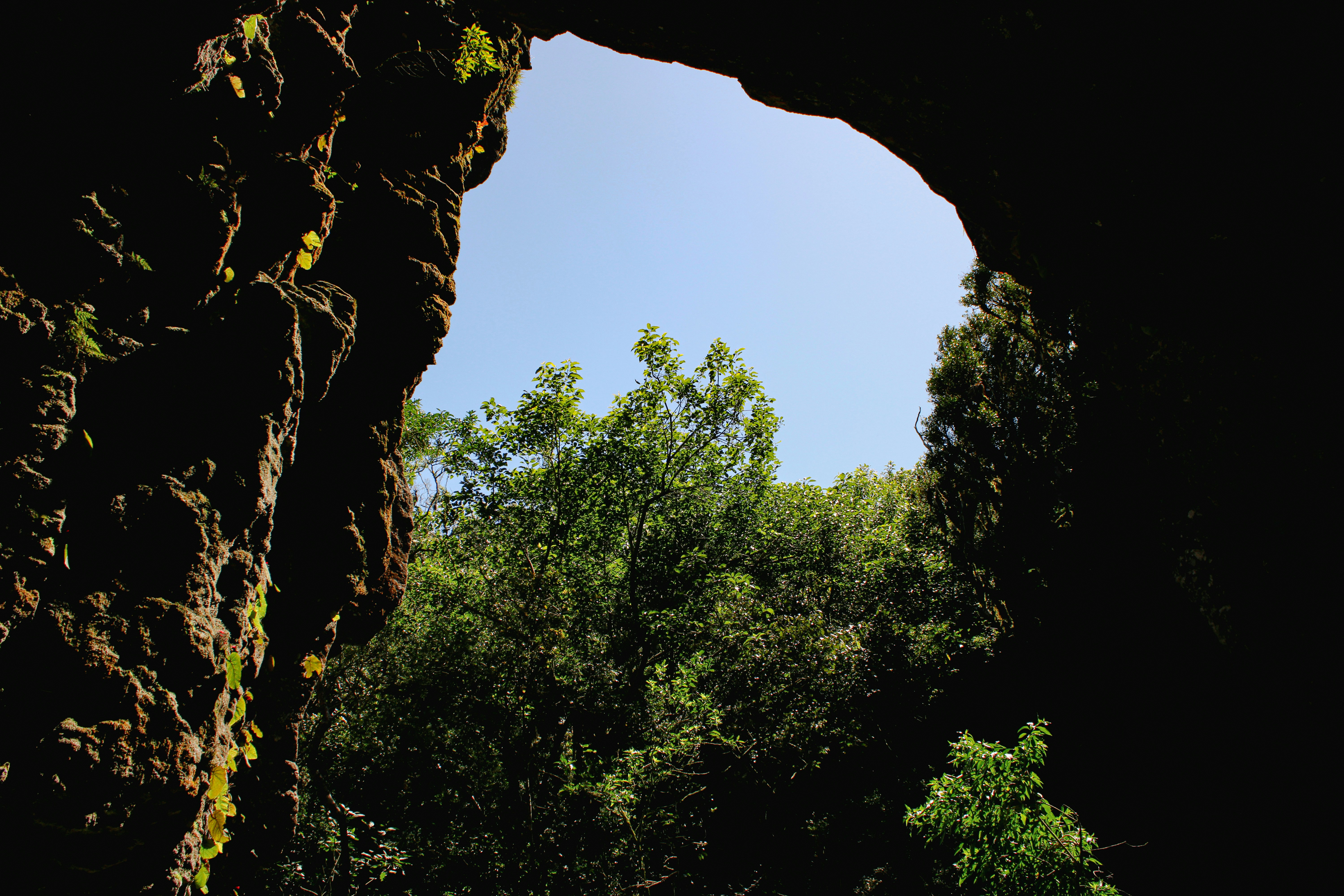 Looking out from a cave, seeing the forest.