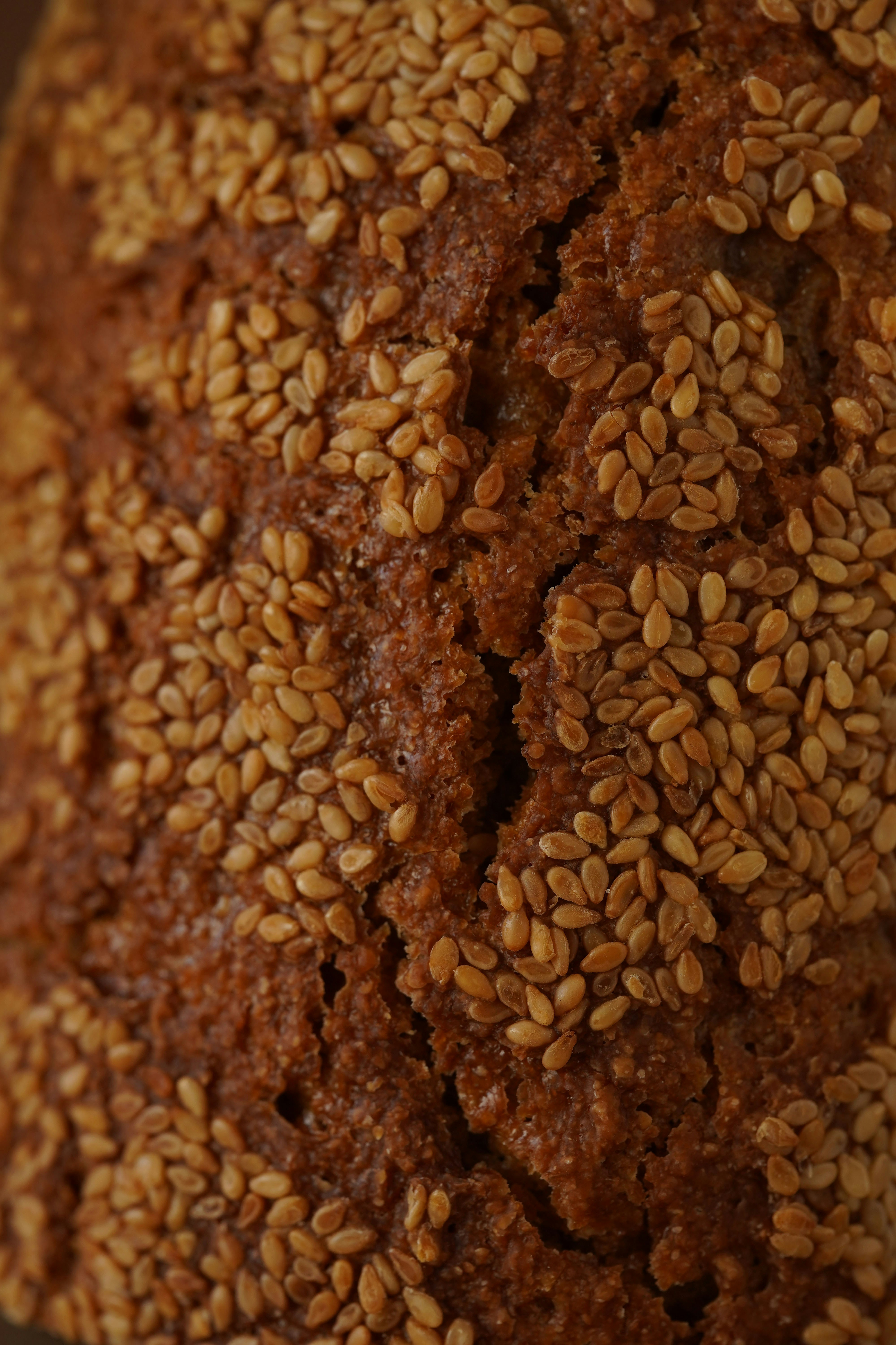 Photo by vikaelefant