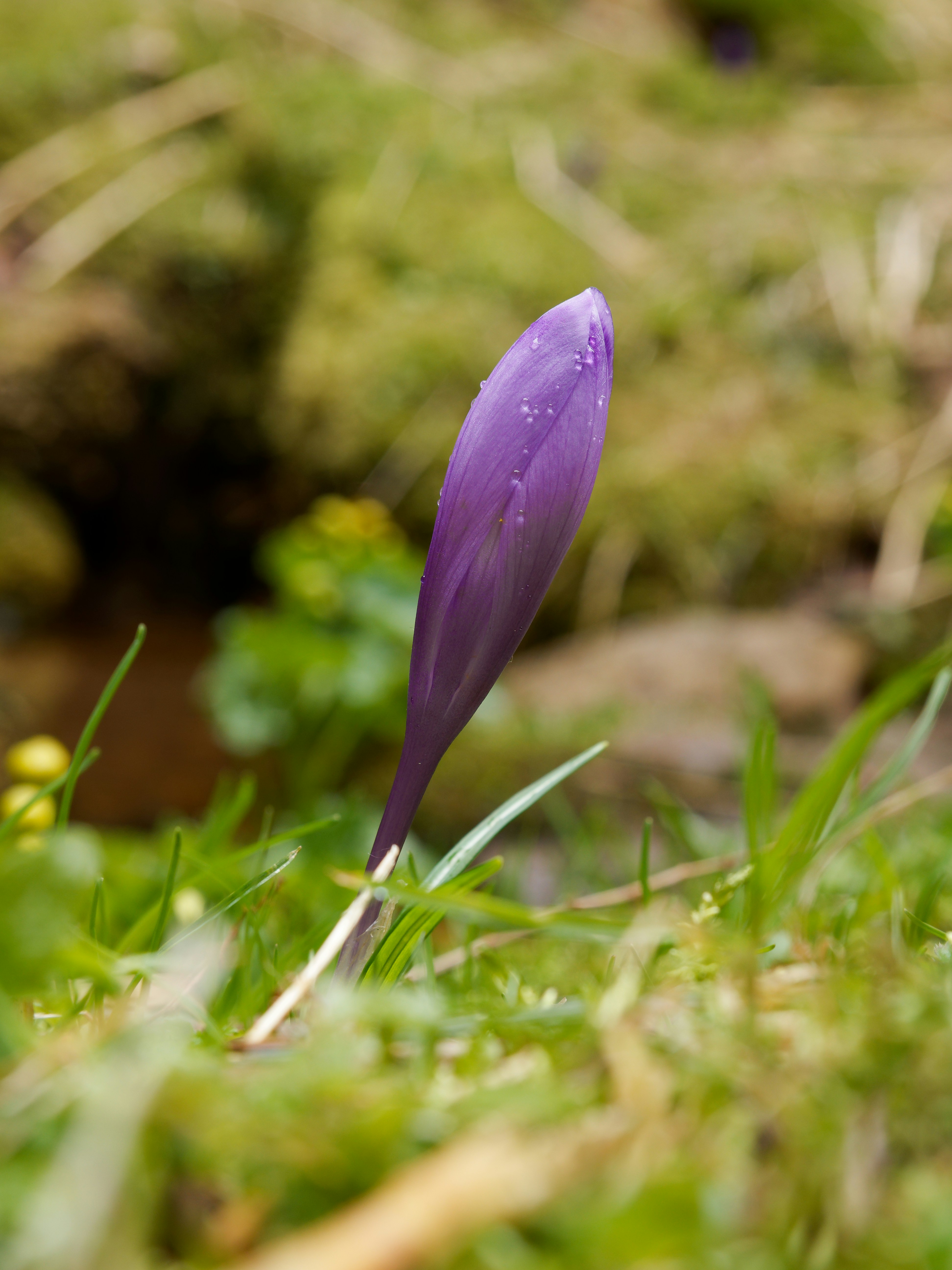 Photo by illes_cristi