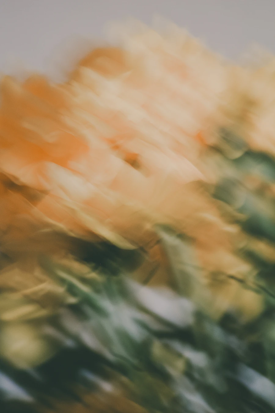 Abstract motion-blurred orange and green foliage