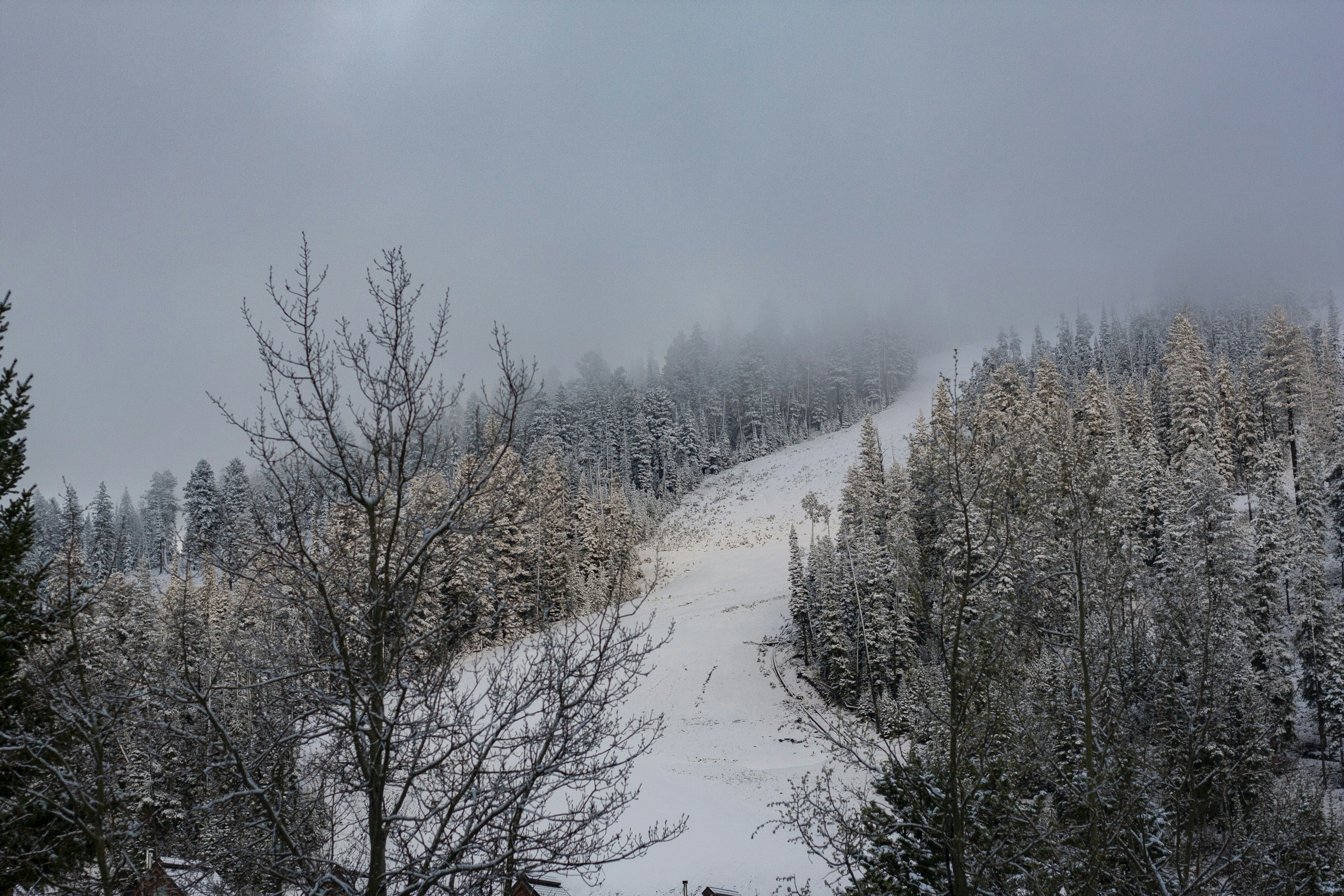 Photo by casswallace001