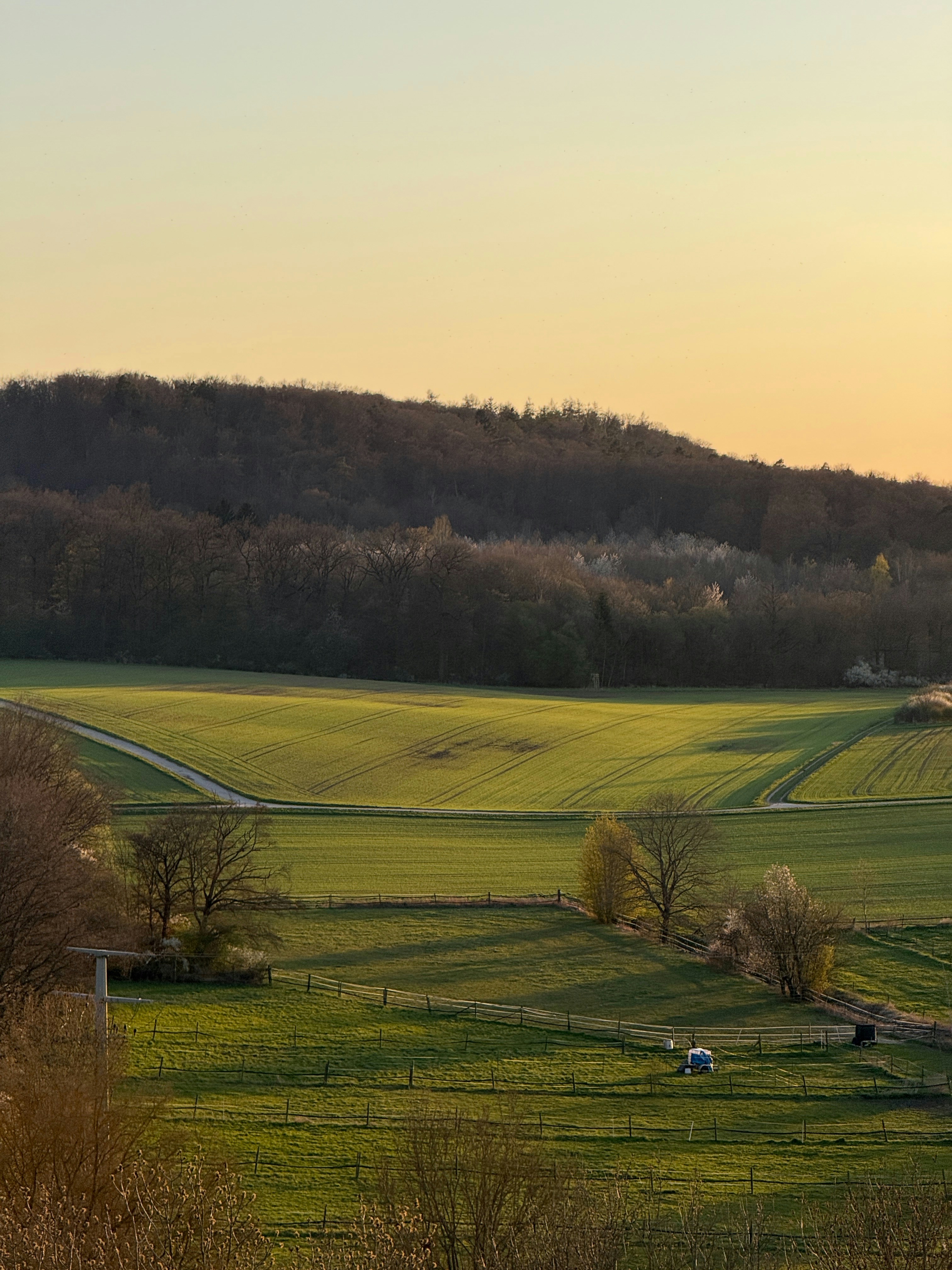 Photo by projectkeno