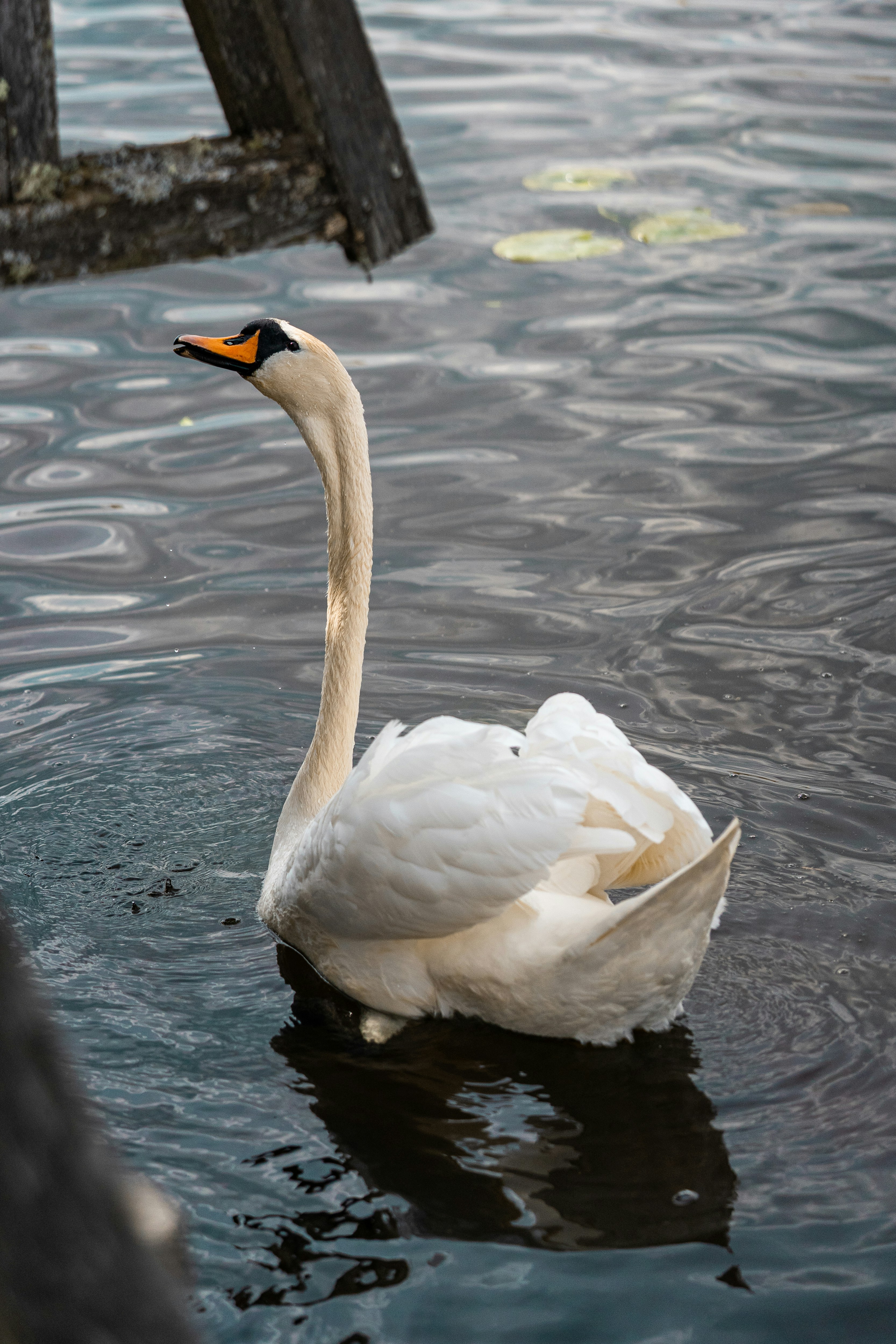 Photo by carinamariah