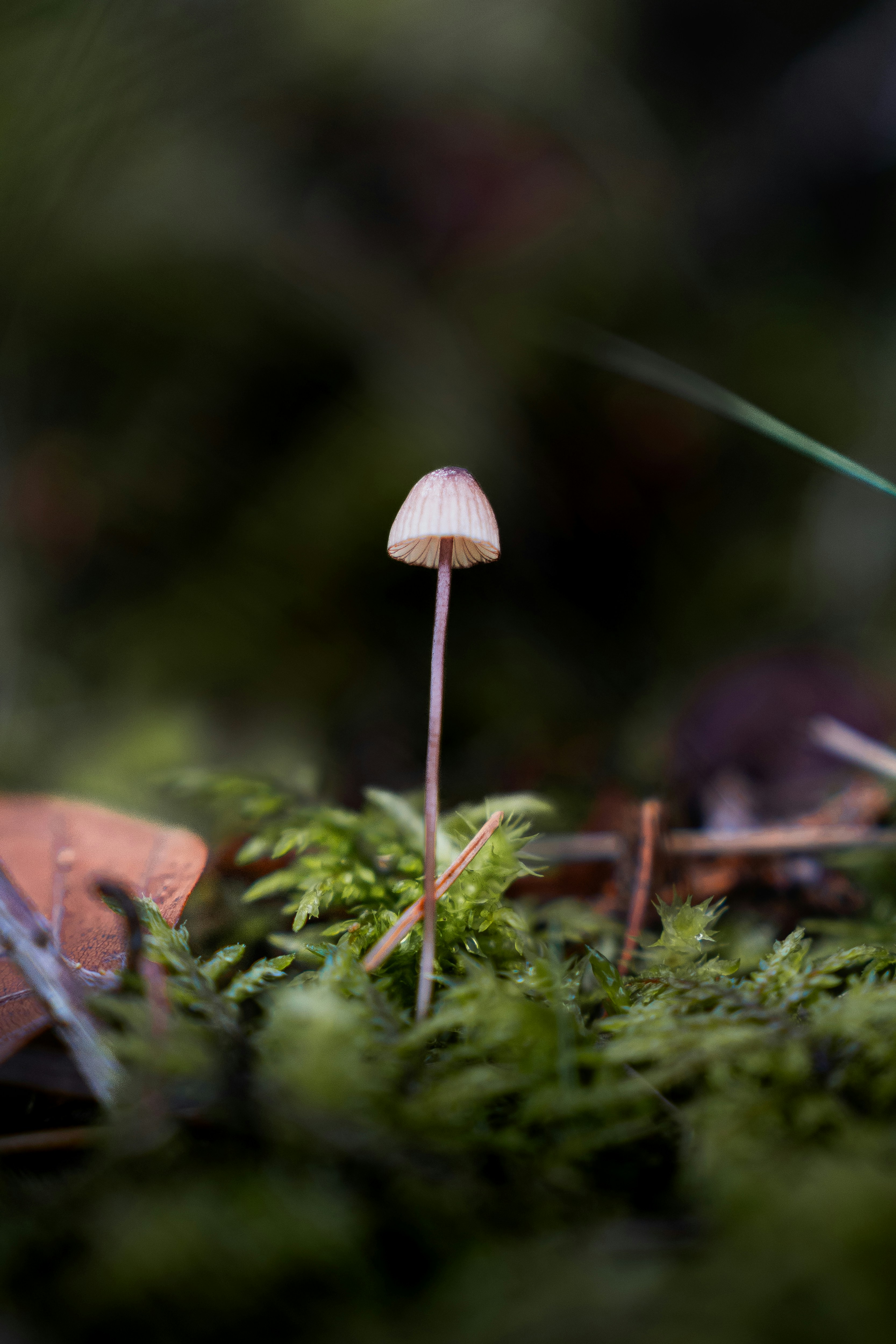 Photo by carinamariah