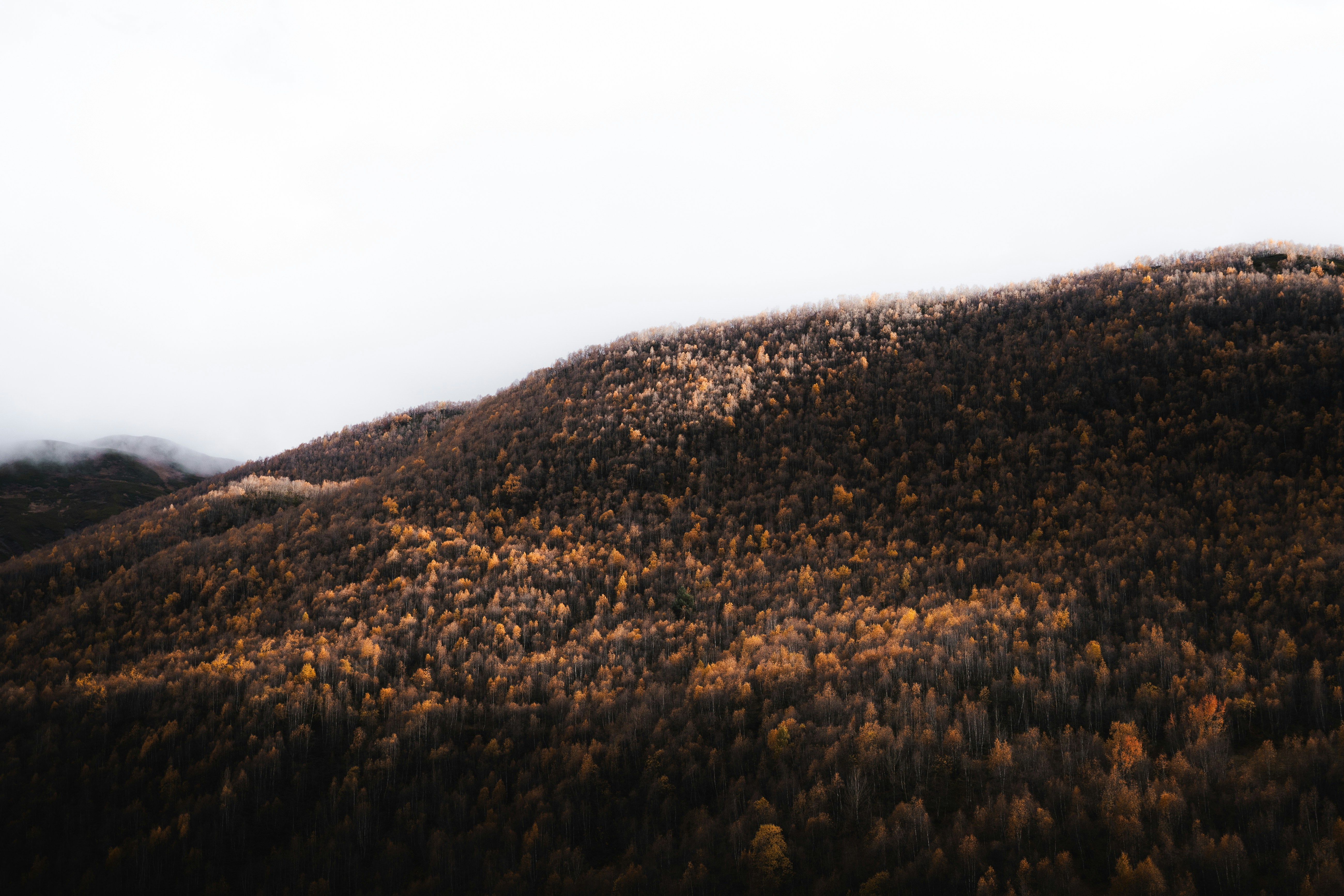 Photo by auchynnikau