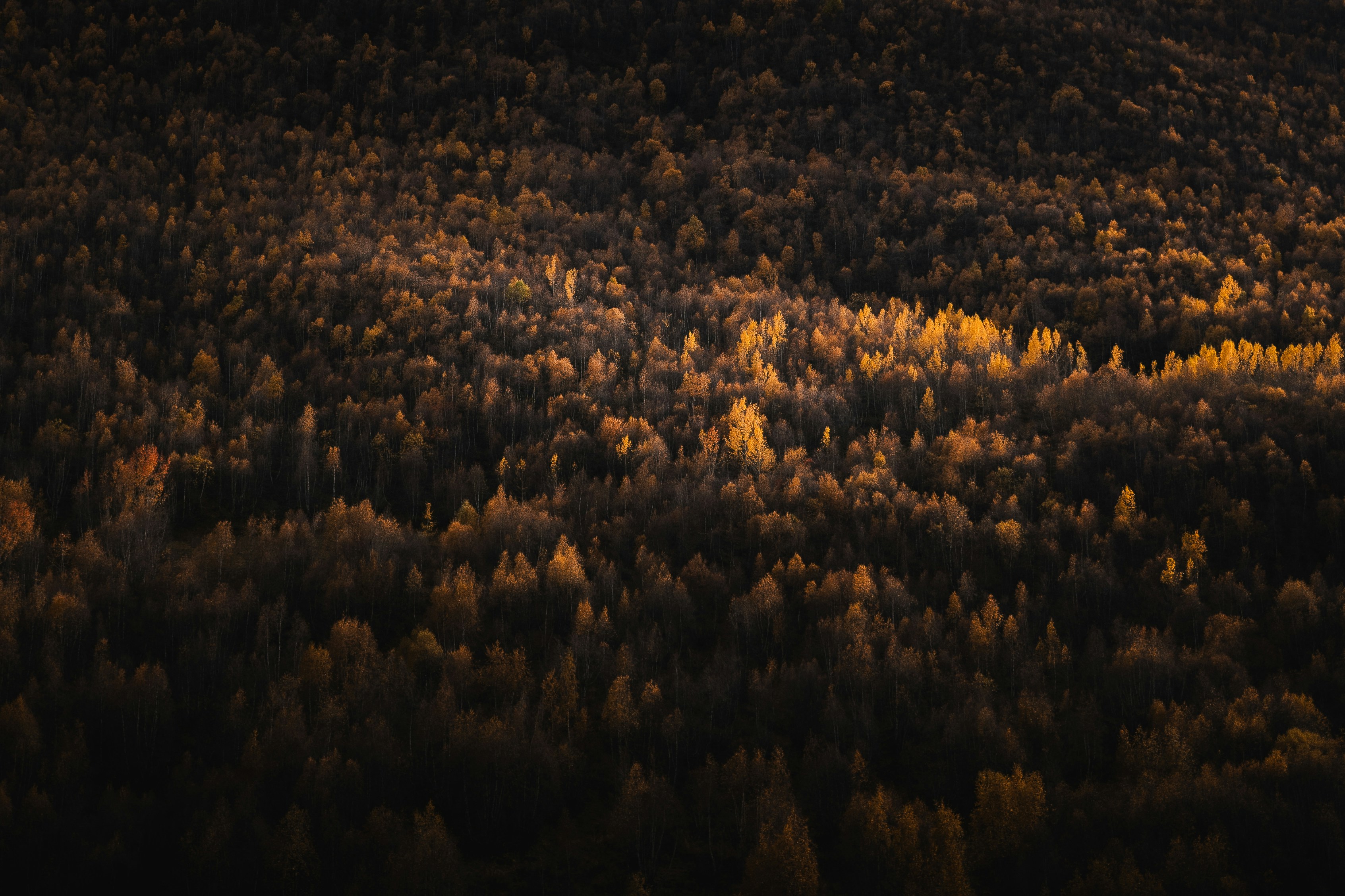 Photo by auchynnikau