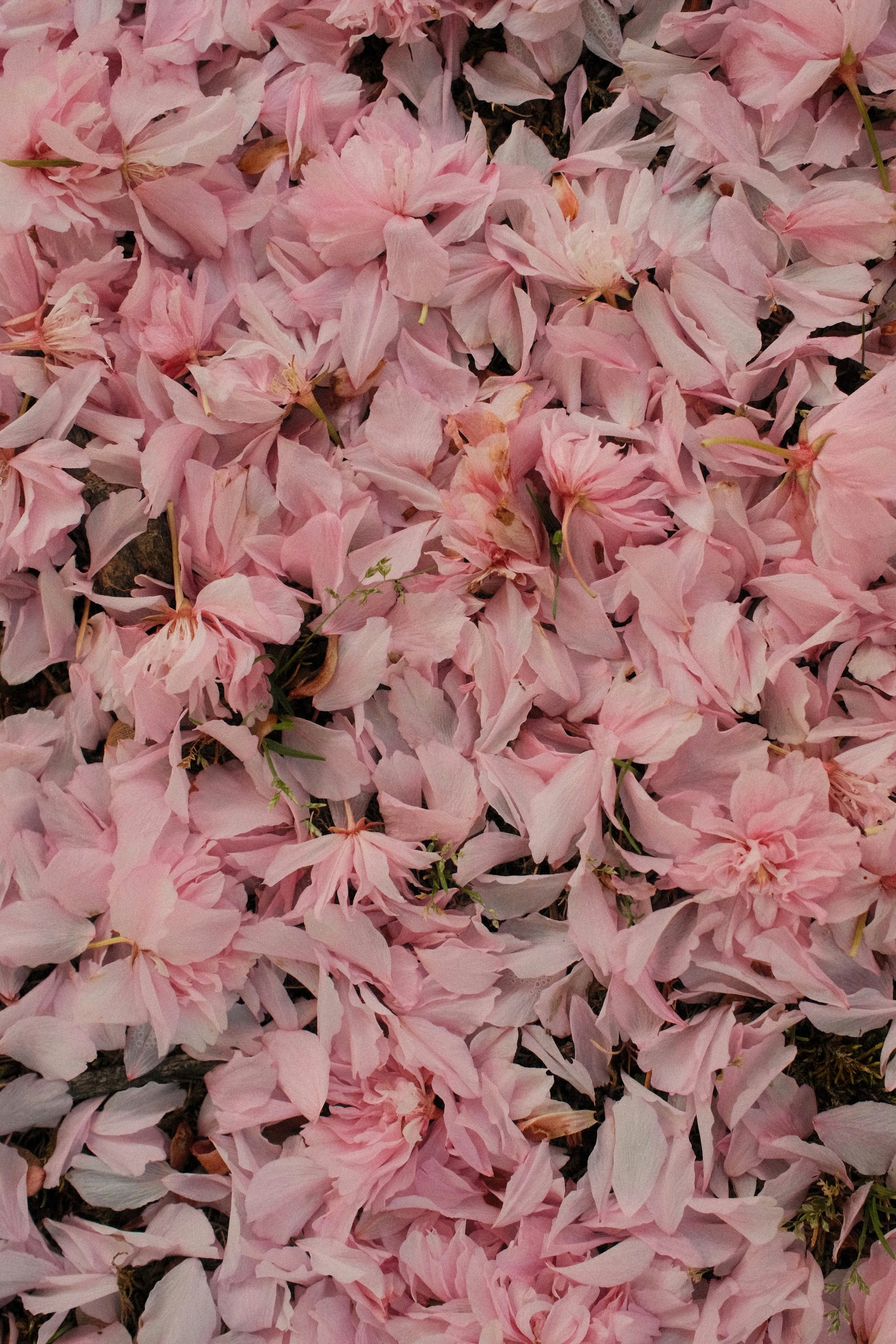 Photo by travisfishl