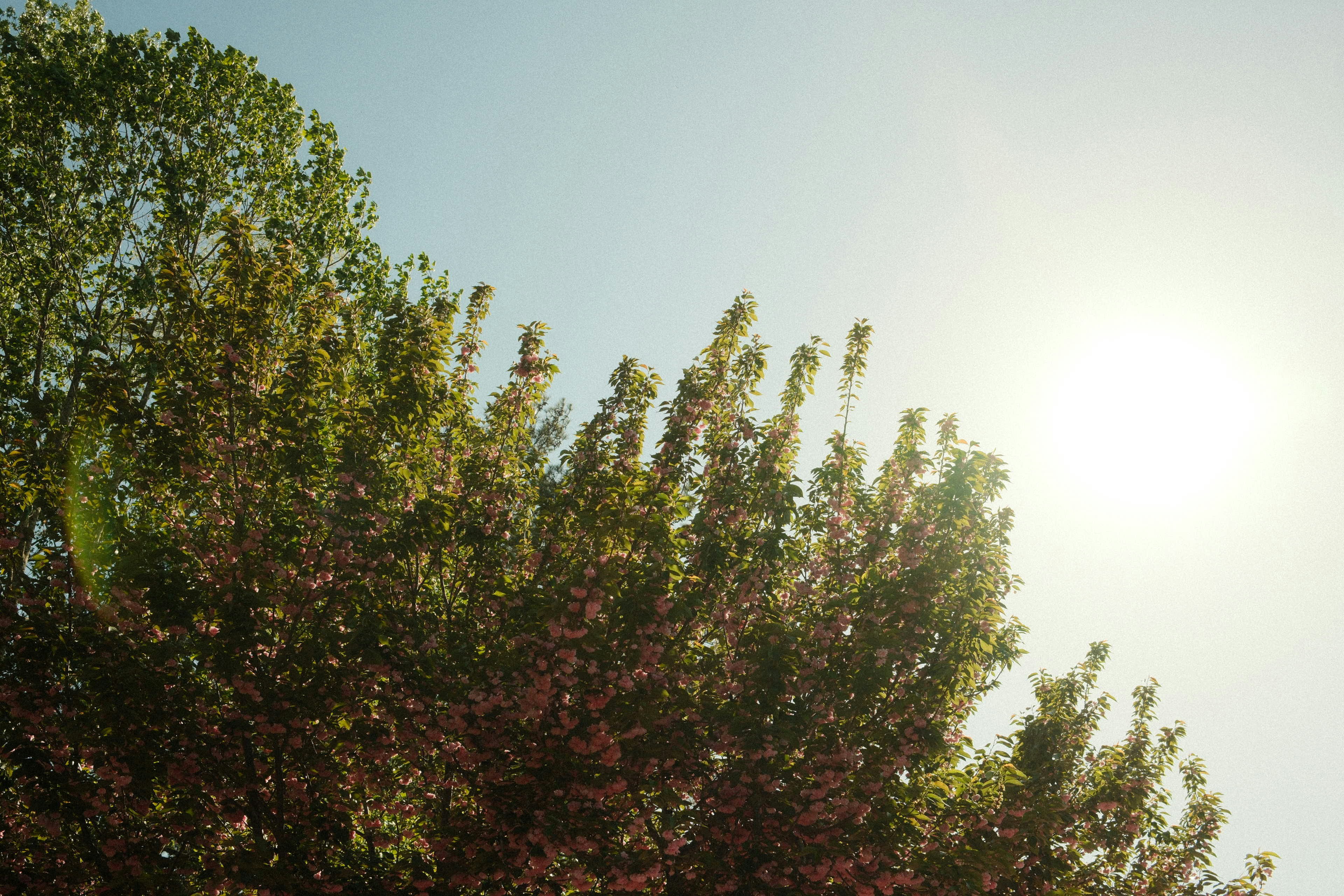 Photo by travisfishl