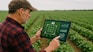Farmer uses ai technology to monitor crops.