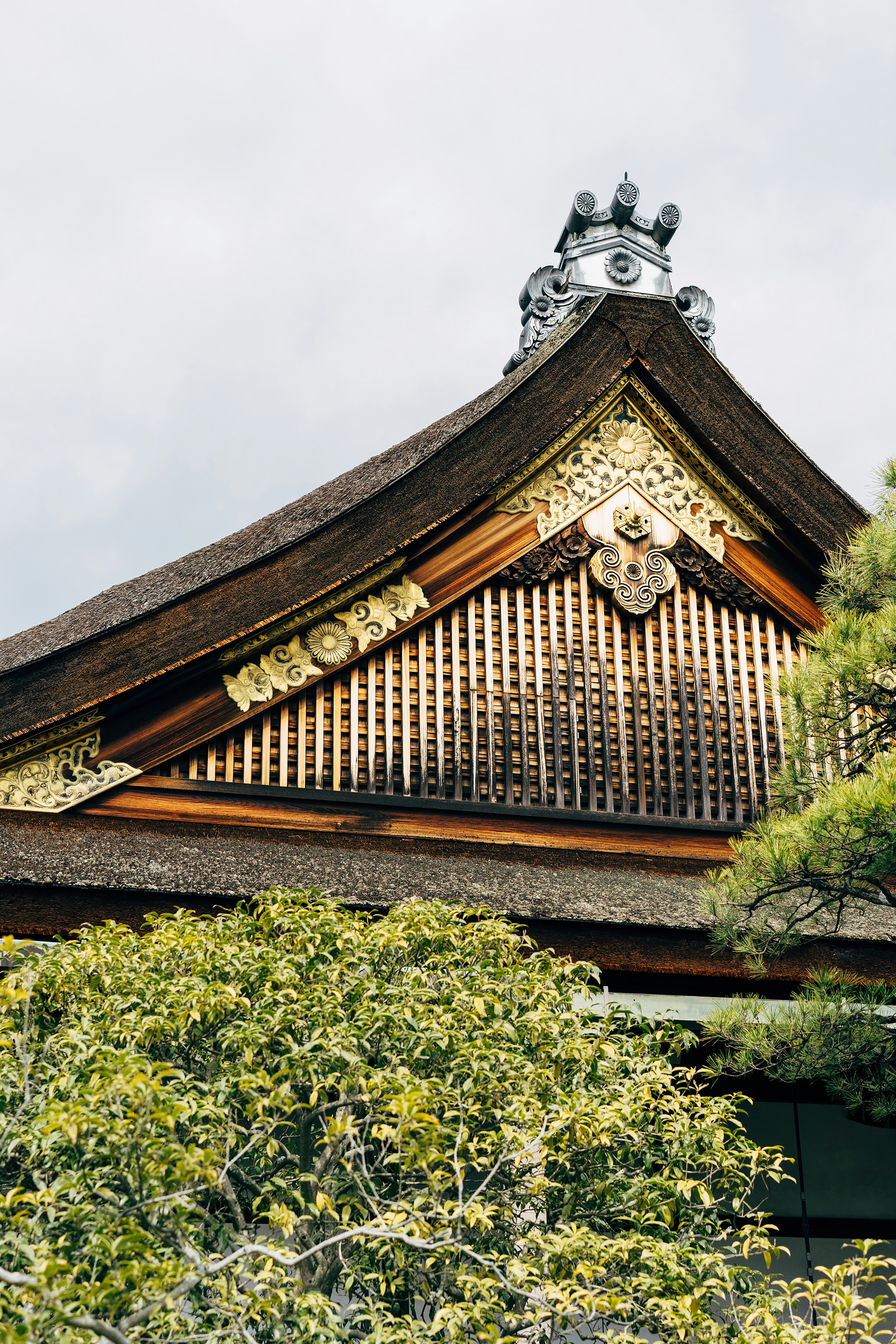 Photo by markuswinkler