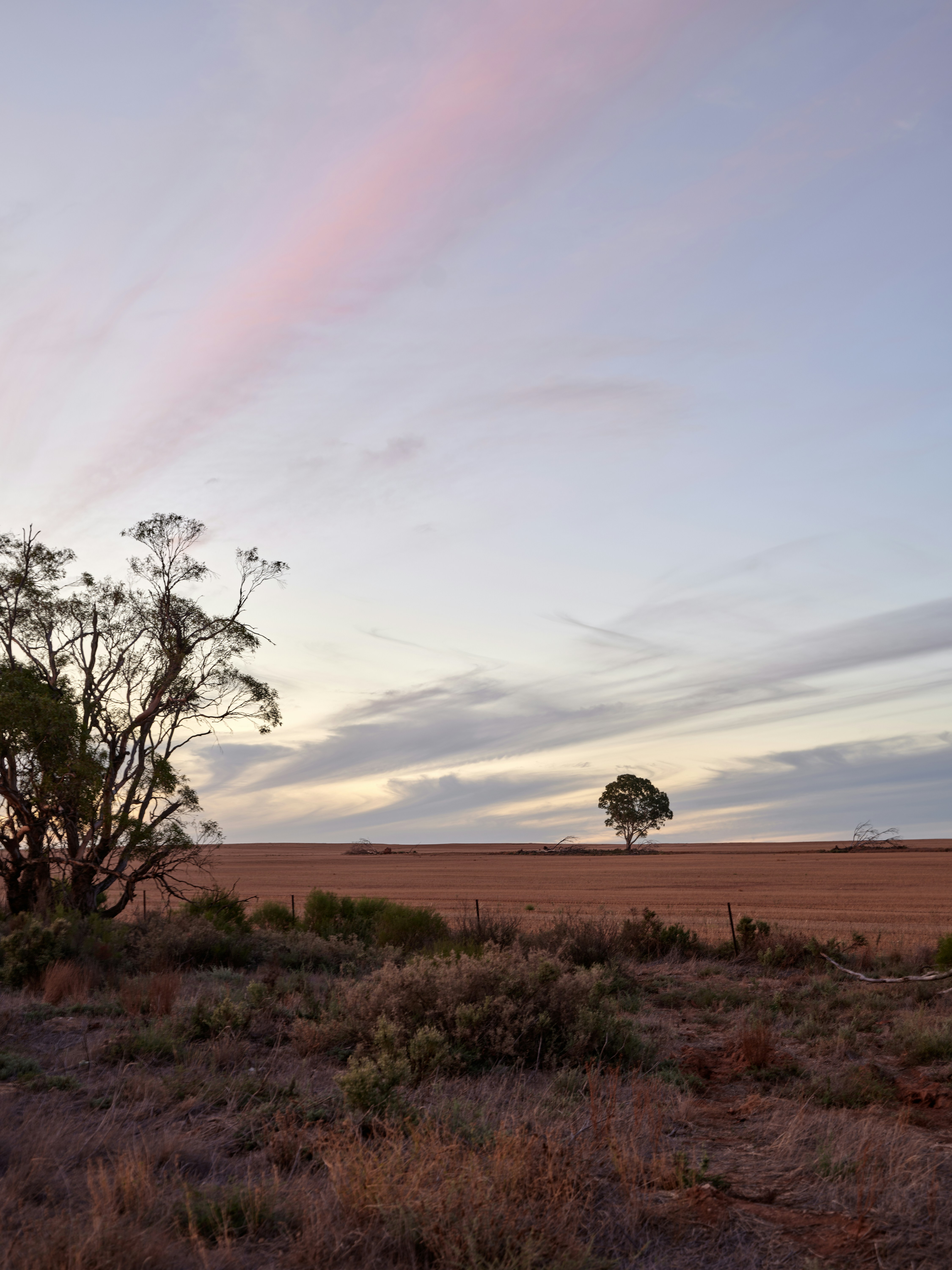 Photo by neonwangphotography