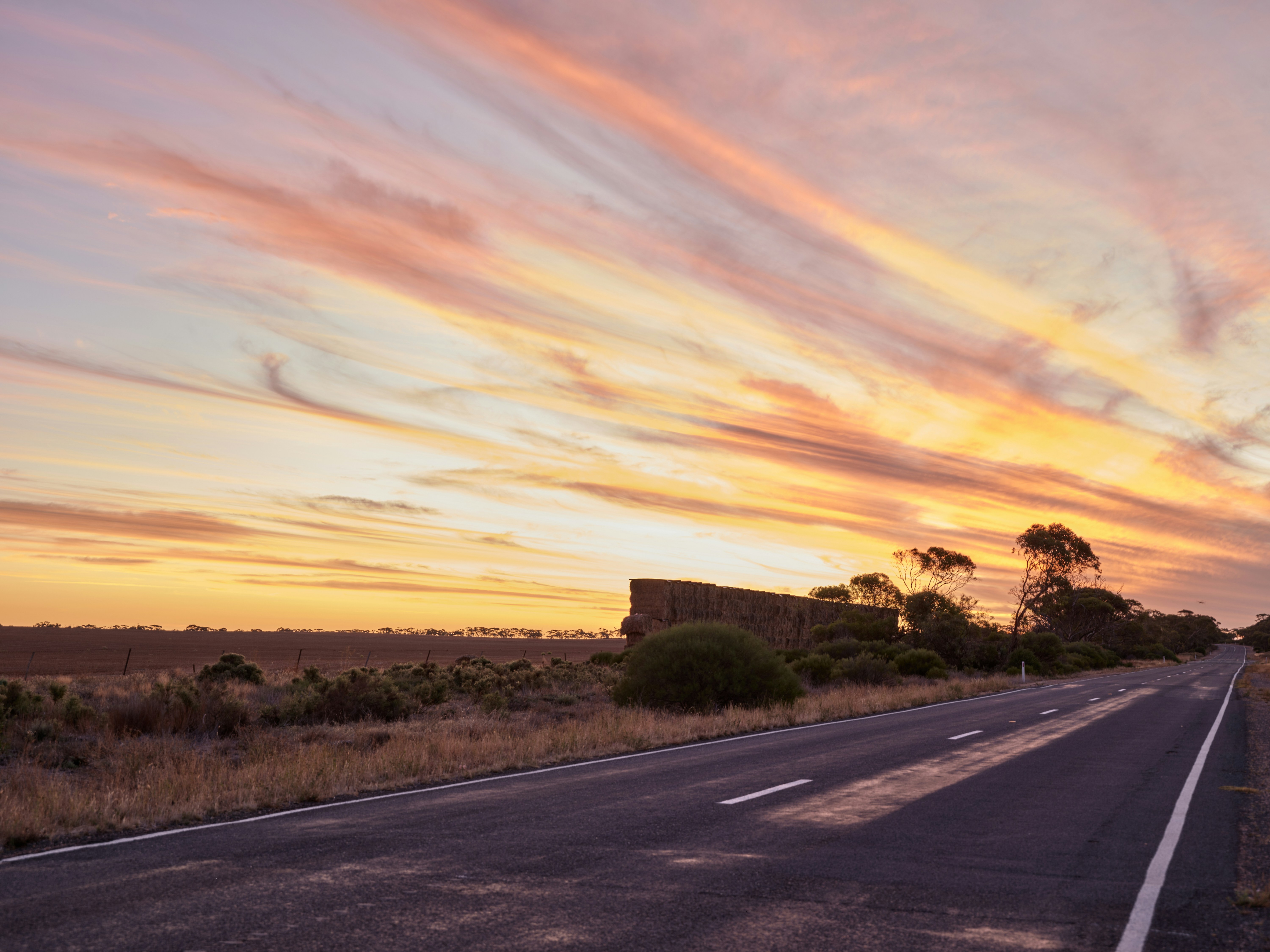 Photo by neonwangphotography