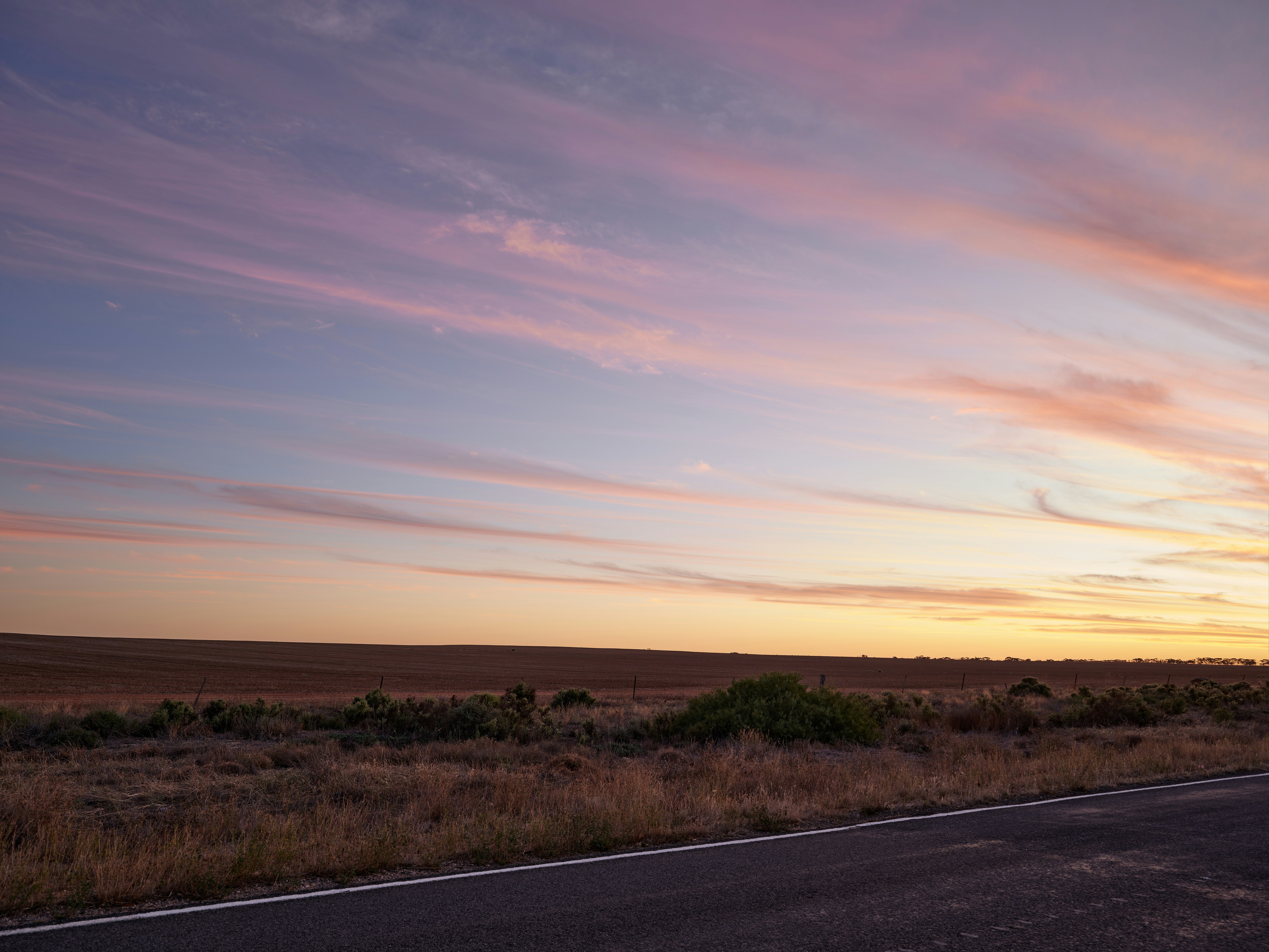 Photo by neonwangphotography