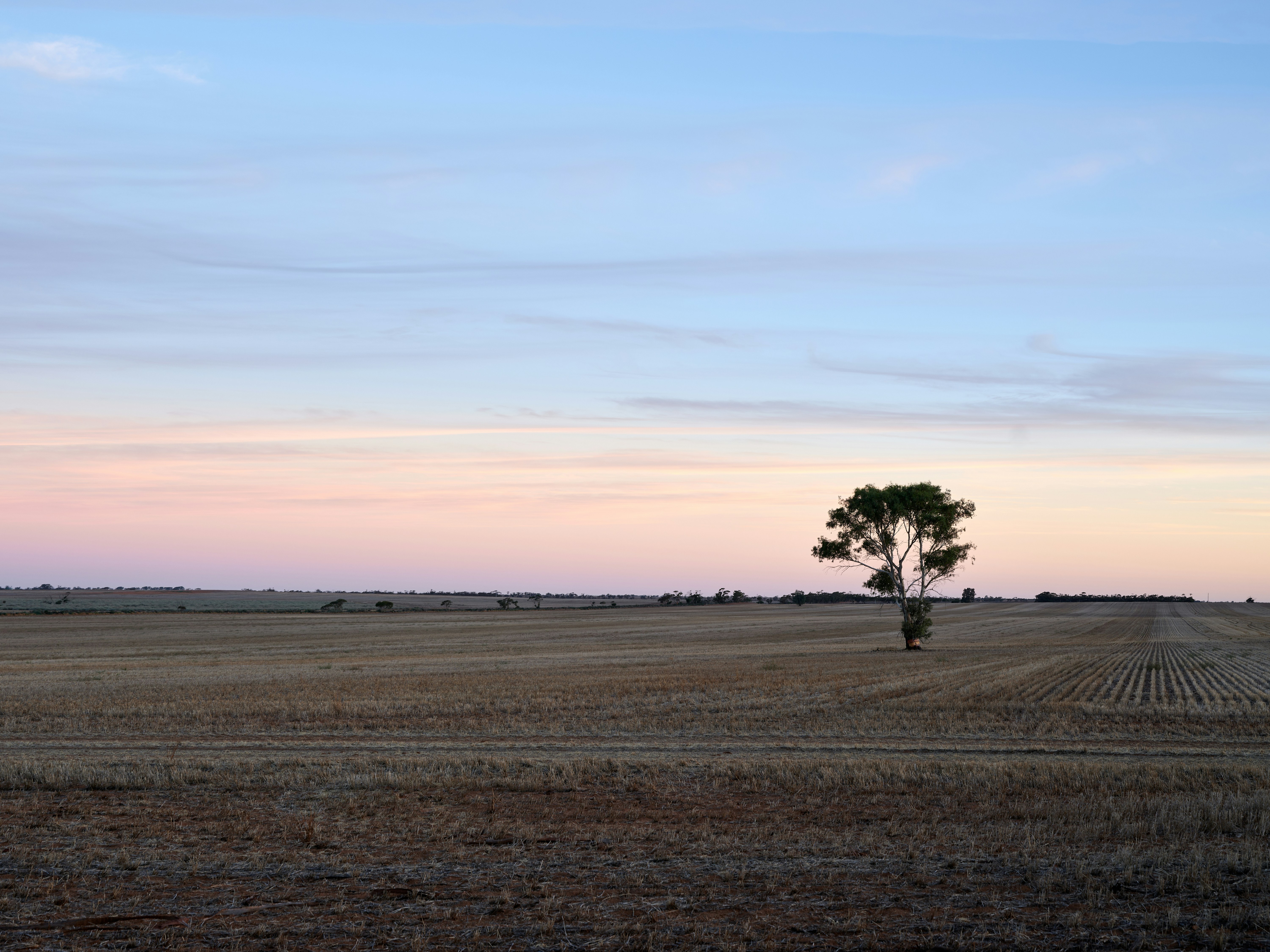 Photo by neonwangphotography