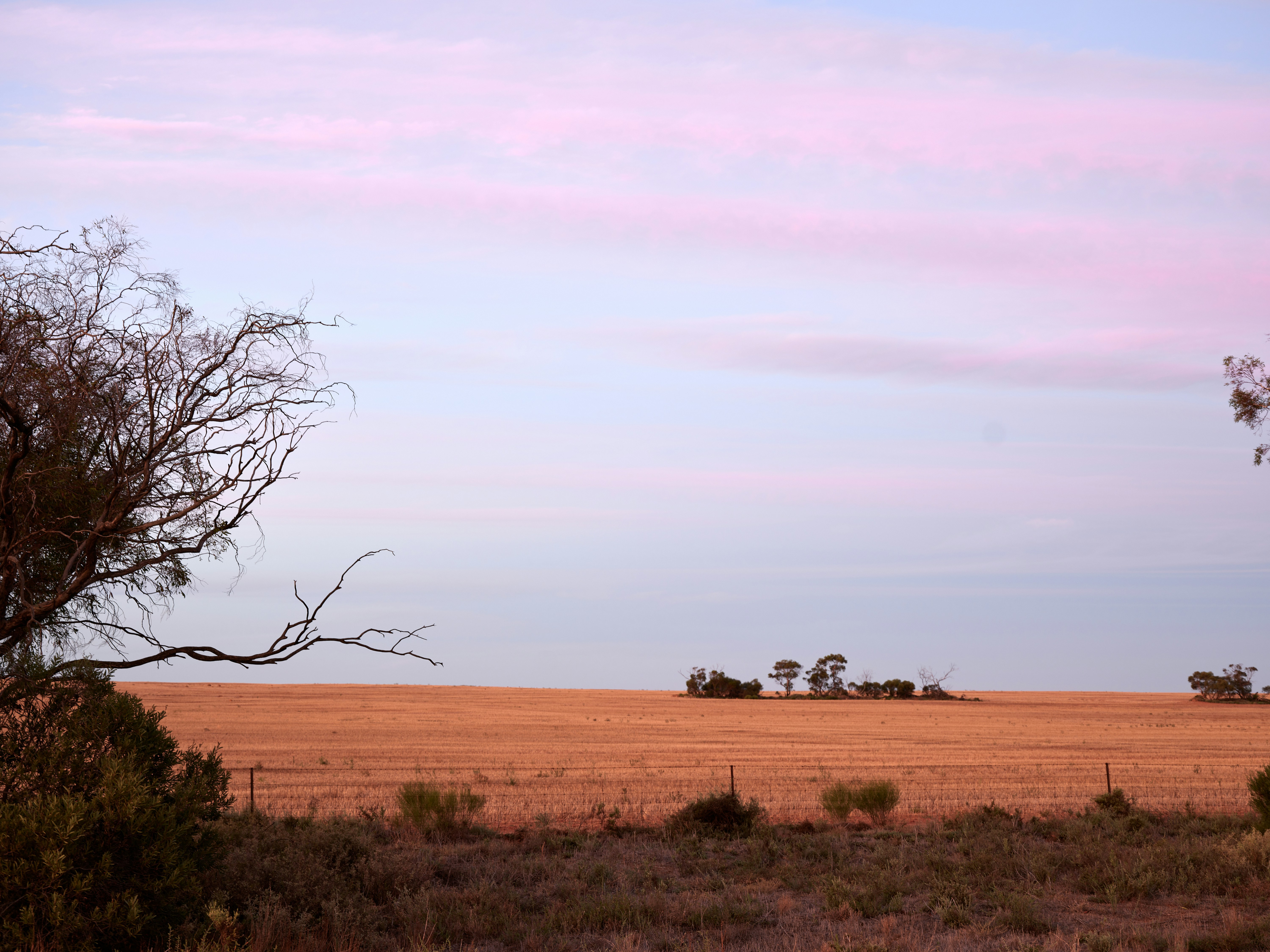 Photo by neonwangphotography