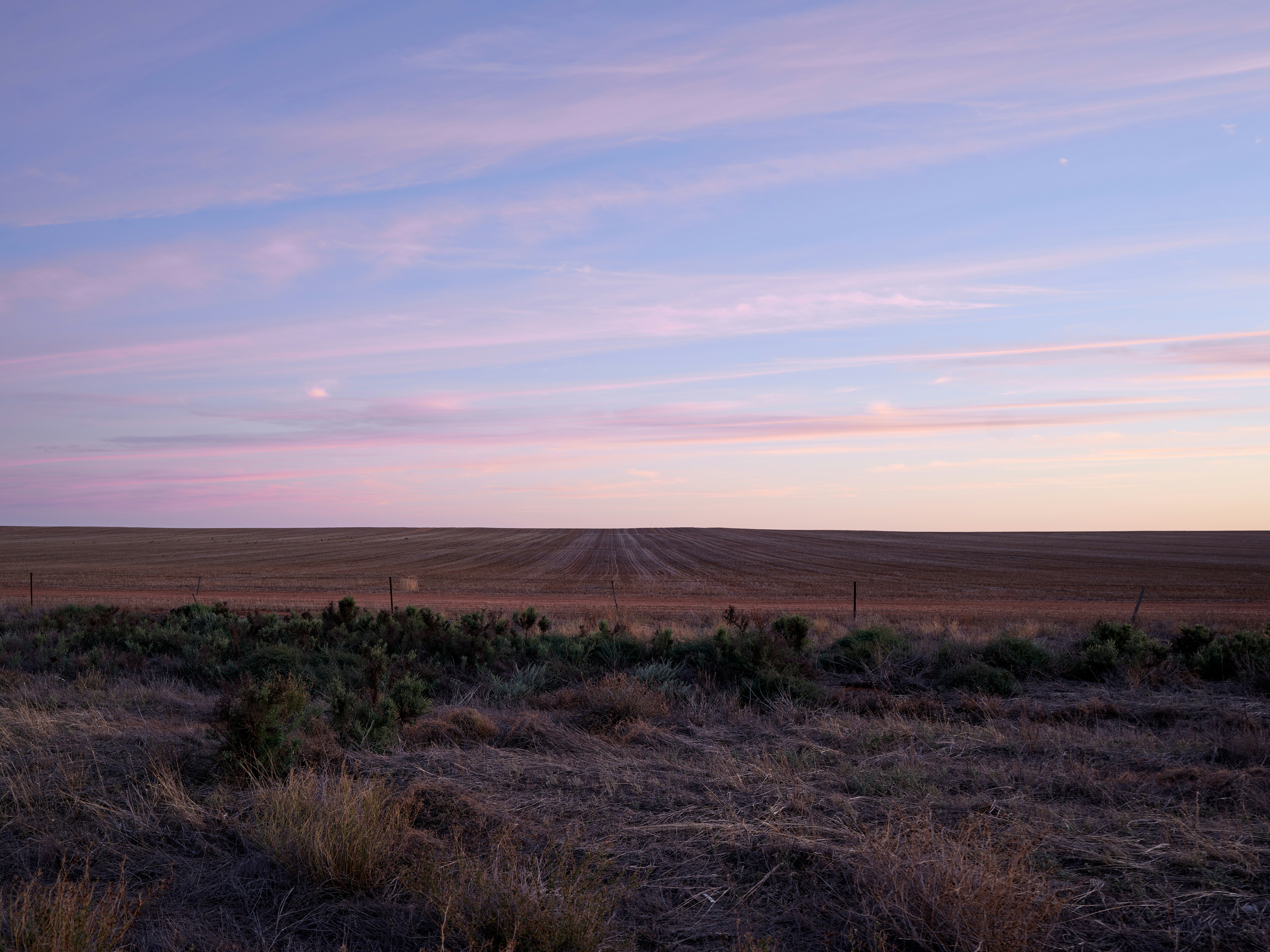 Photo by neonwangphotography